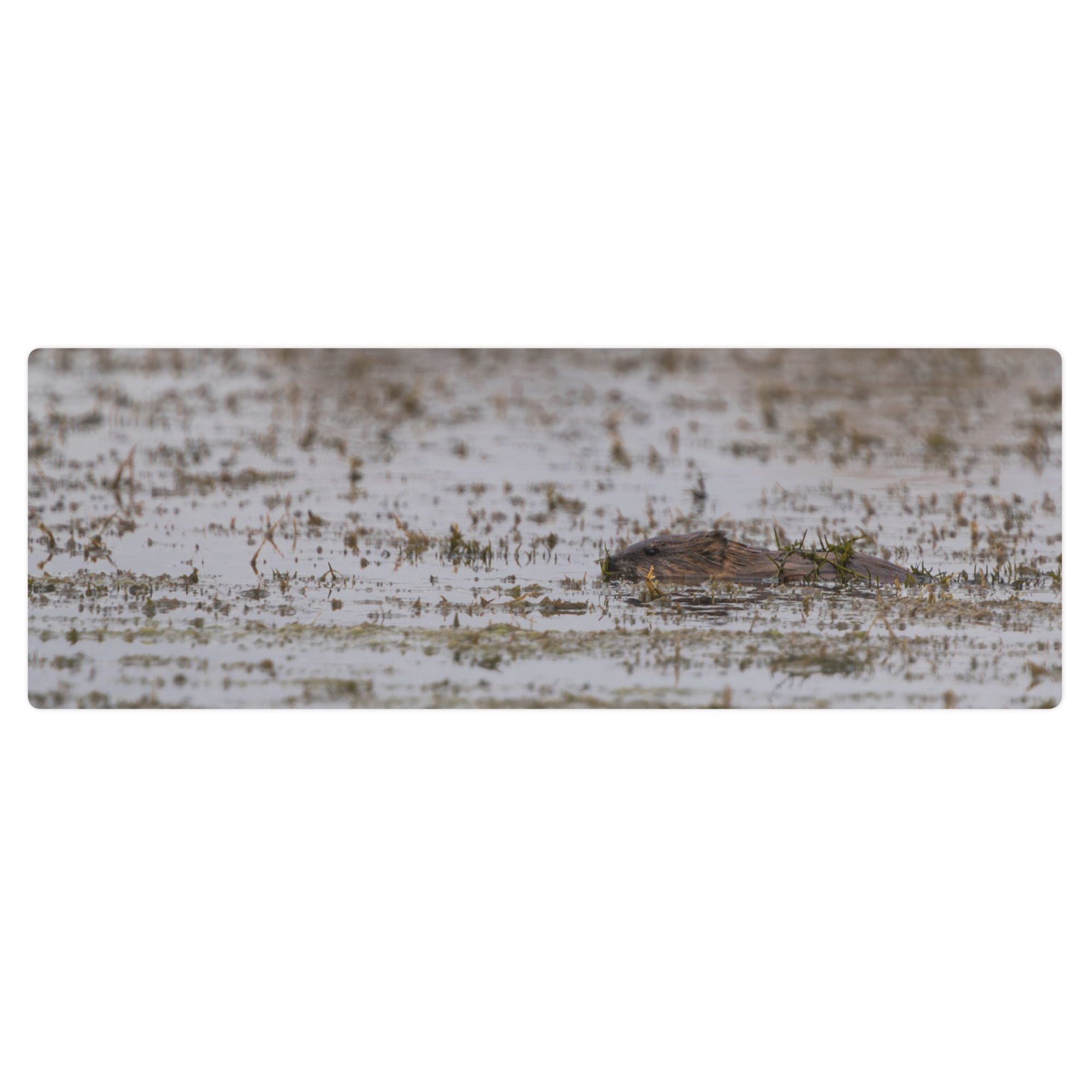 Muskrat Yoga mat