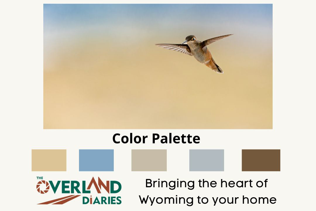 Hummingbird Lover Gift - The Overland Diaries