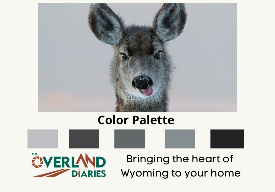 Deer Funny Face - The Overland Diaries