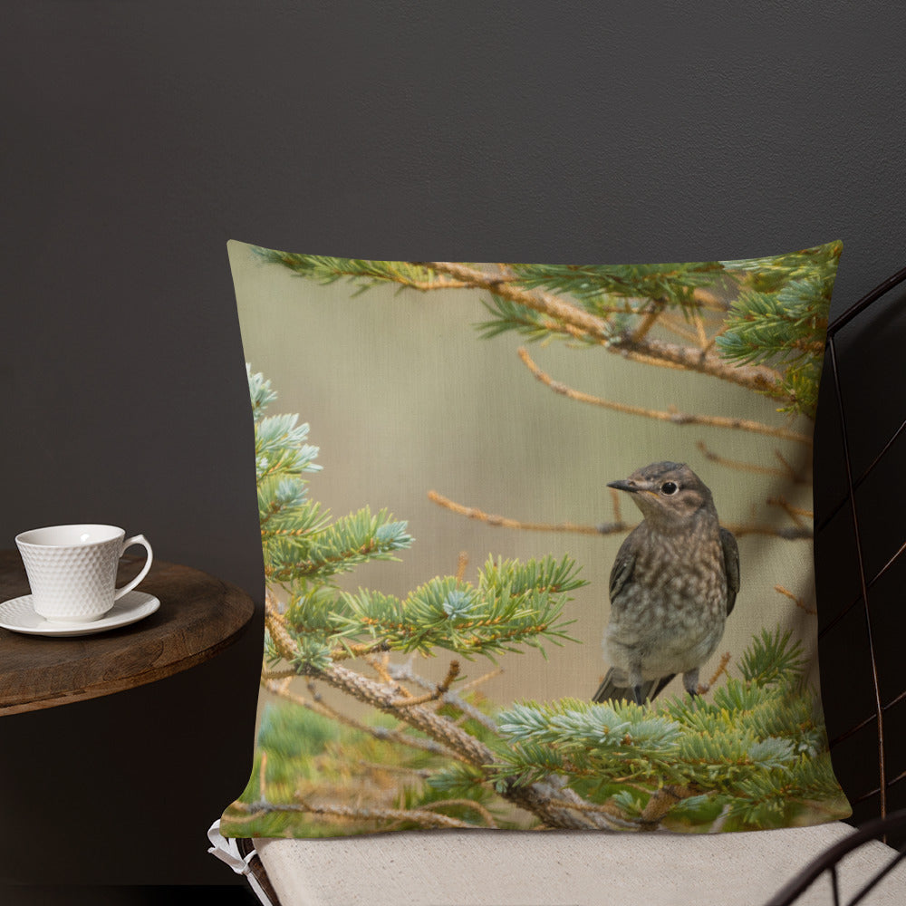 Female Mountain Bluebird Premium Pillow - The Overland Diaries