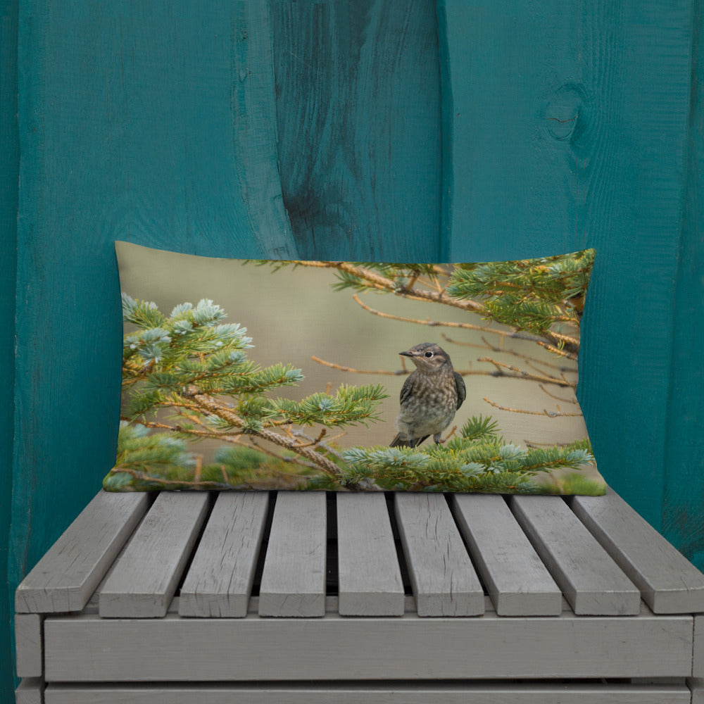 Female Mountain Bluebird Premium Pillow - The Overland Diaries