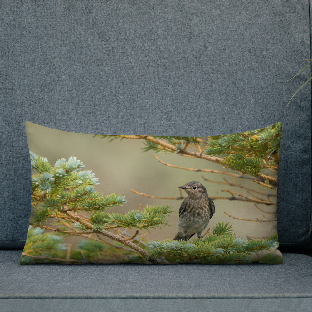 Female Mountain Bluebird Premium Pillow - The Overland Diaries