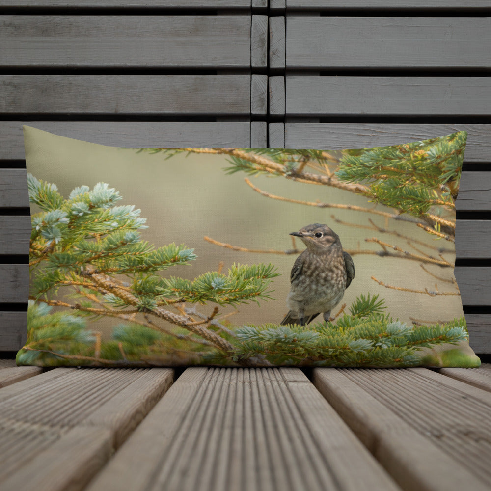 Female Mountain Bluebird Premium Pillow - The Overland Diaries