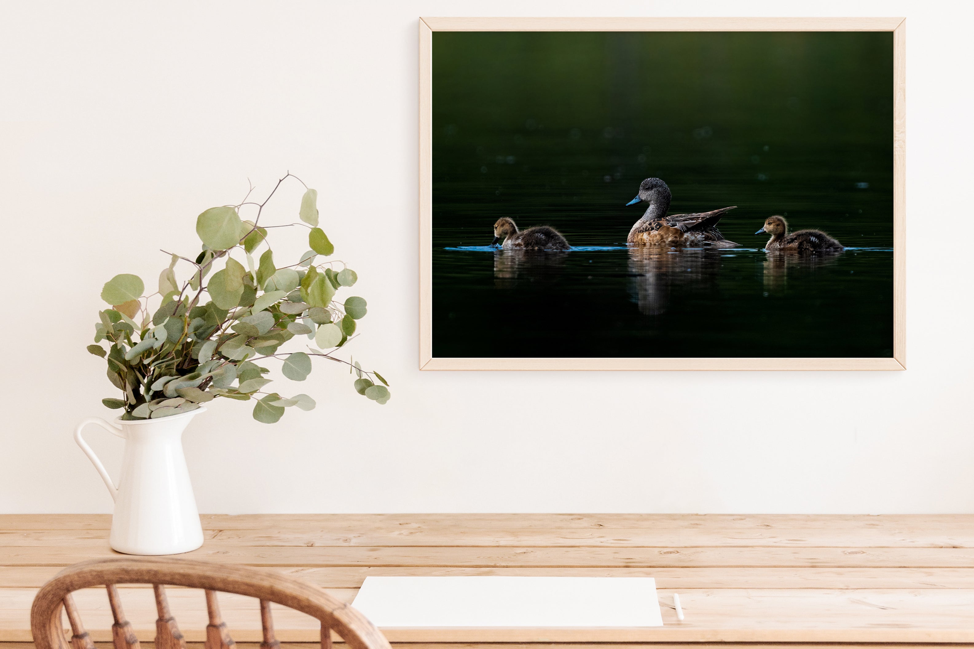 Cute Photo of American Wigeon With Ducklings - The Overland Diaries