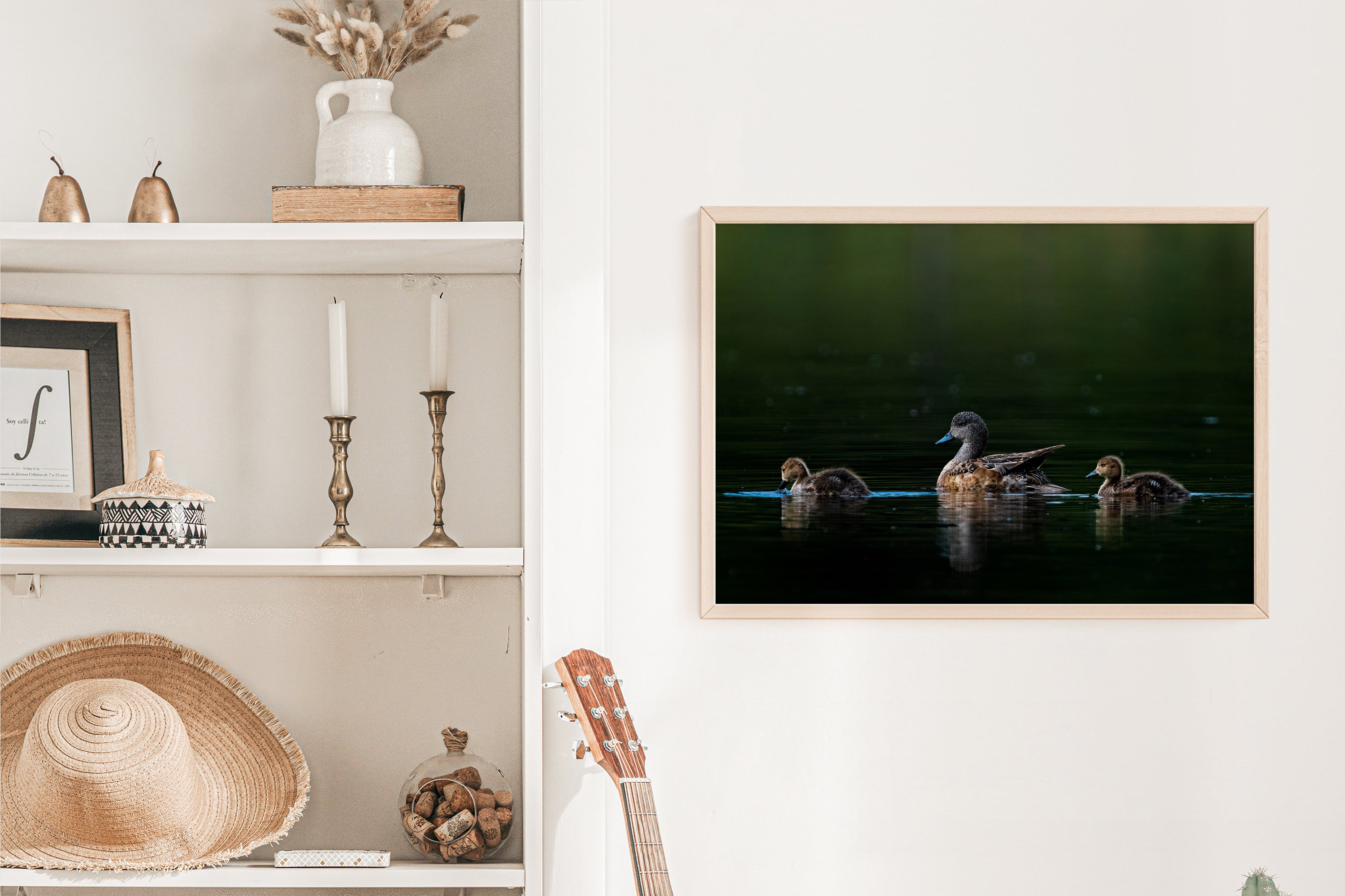 Cute Photo of American Wigeon With Ducklings - The Overland Diaries