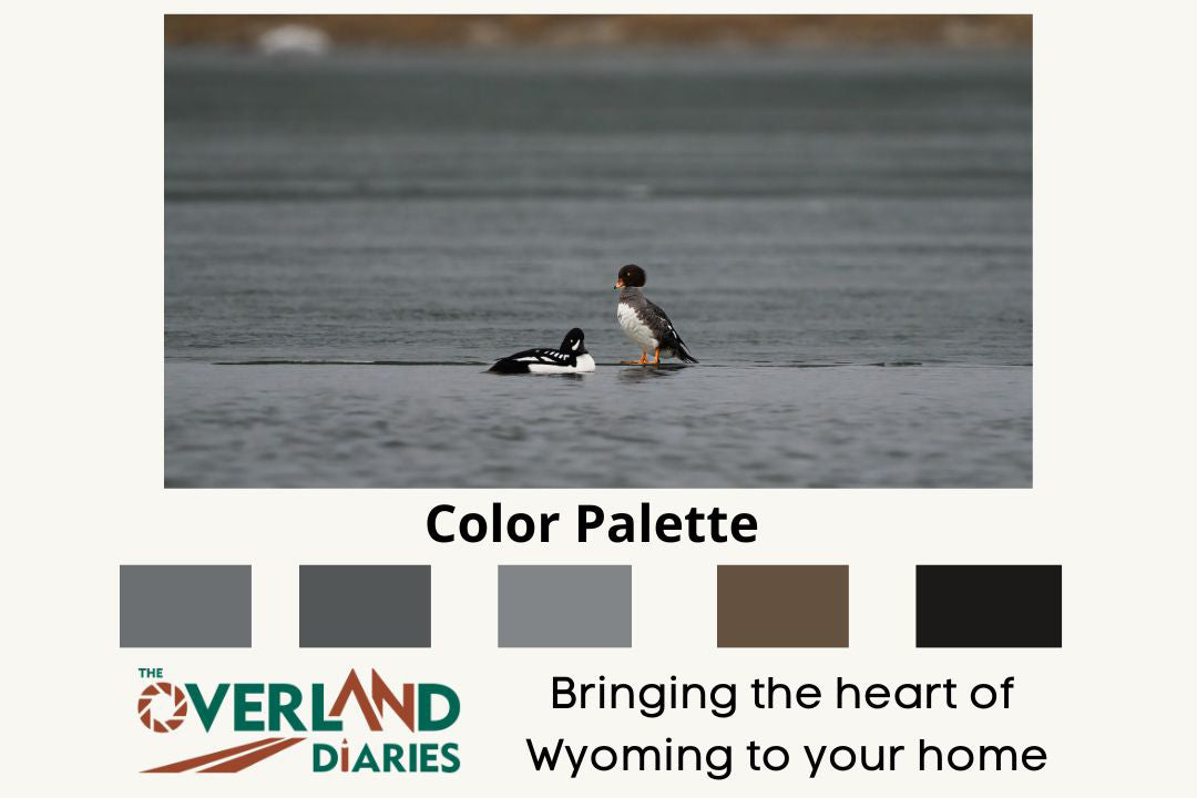 Duck Art Print: Barrow&