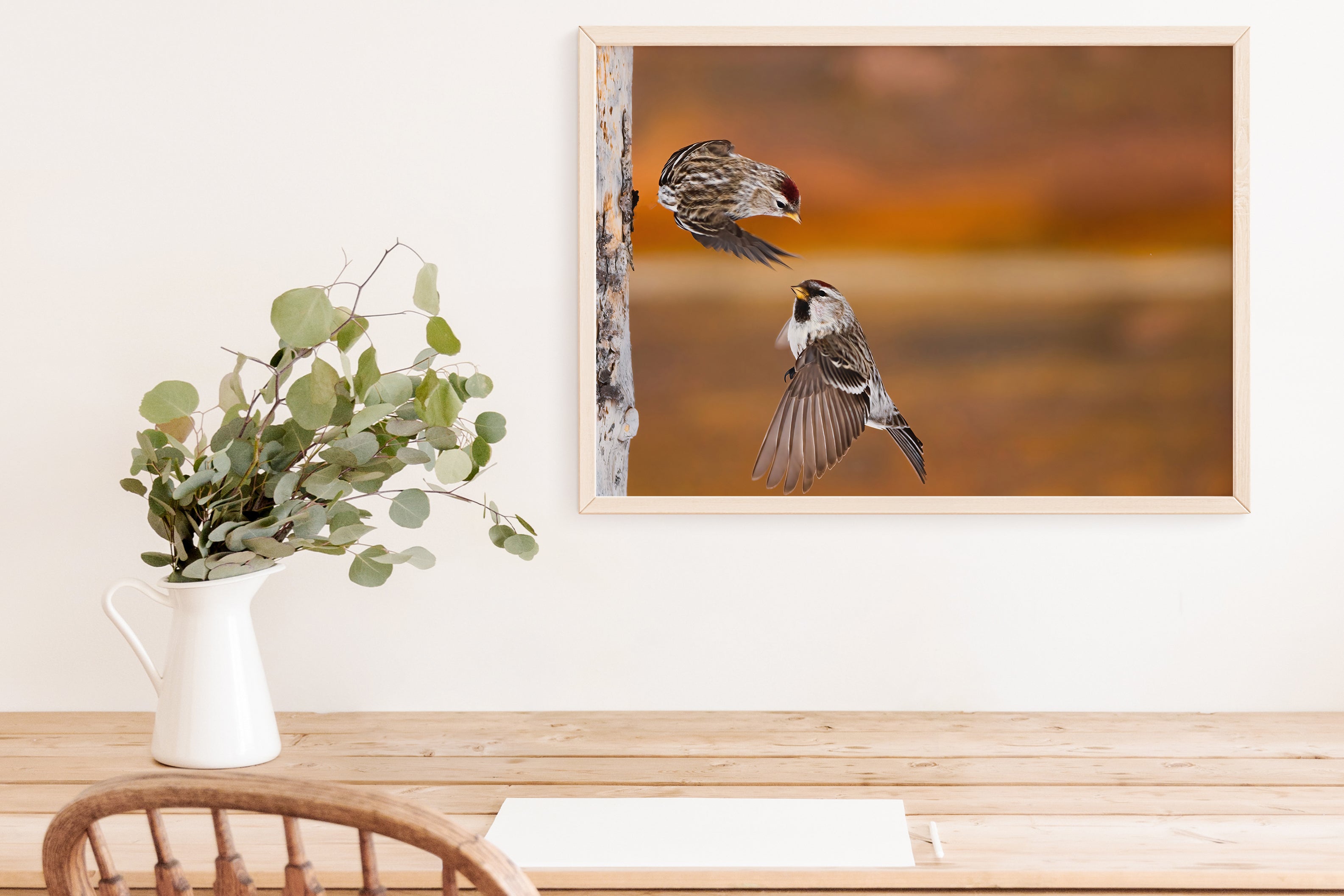 Flying Common Redpolls Photo Award-Winning Nature Photo - The Overland Diaries