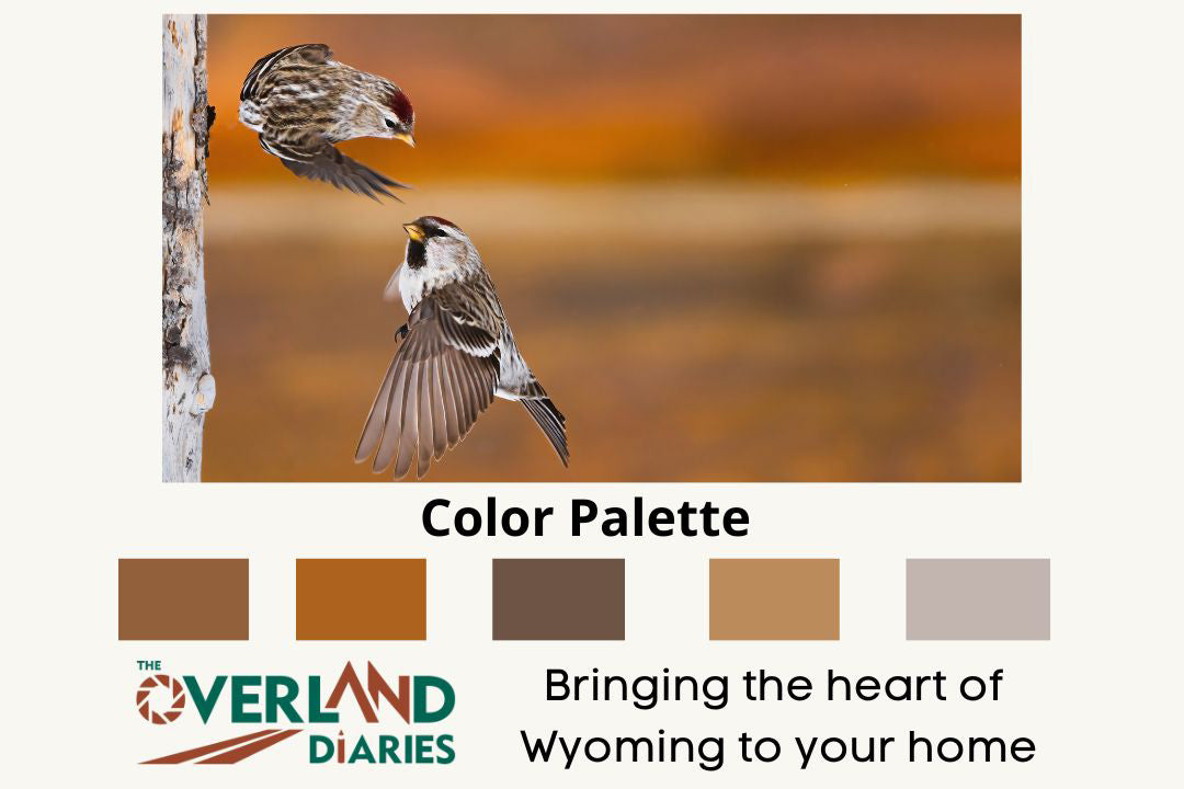 Flying Common Redpolls Photo Award-Winning Nature Photo - The Overland Diaries
