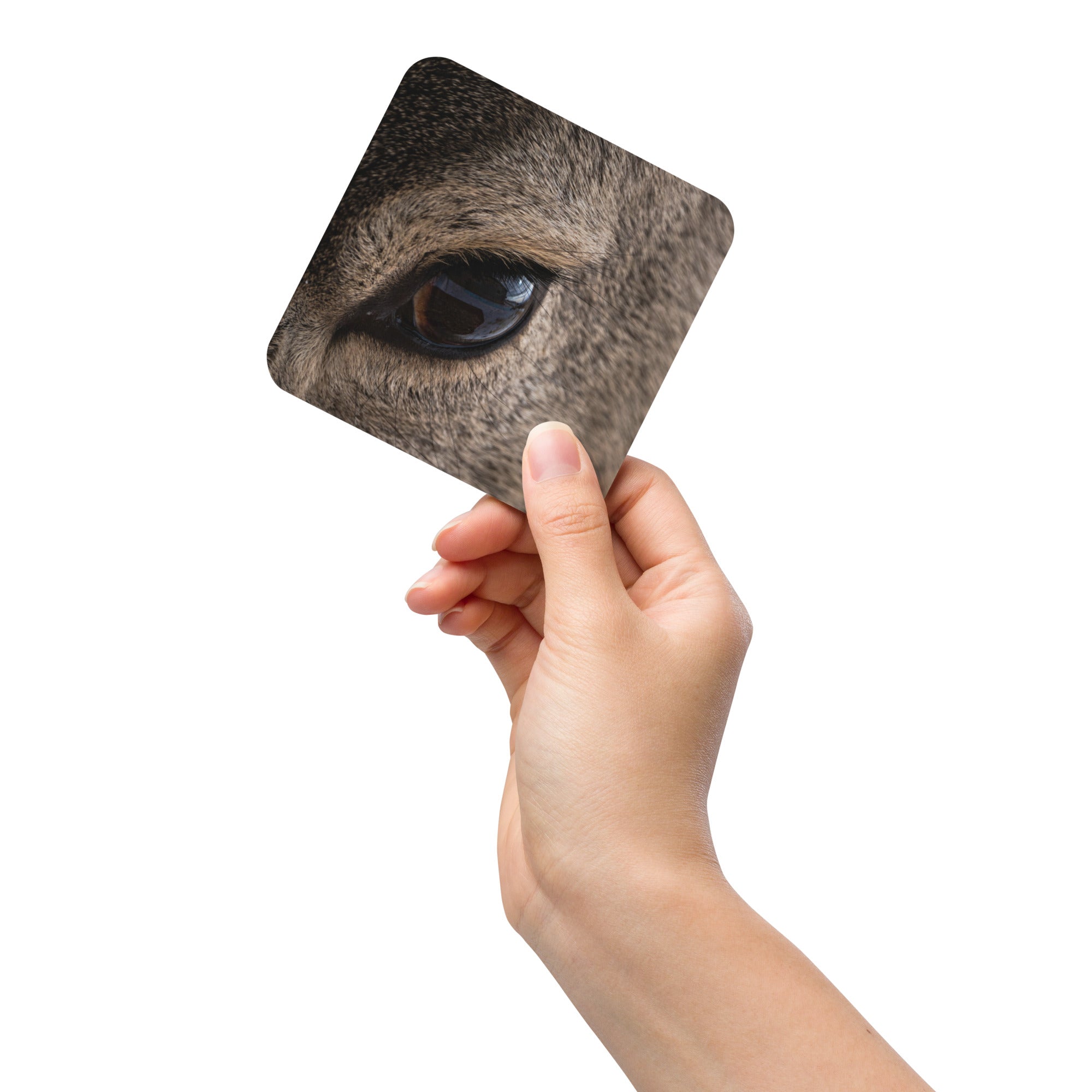 Close-Up Deer Eye Cork-Back Coaster - The Overland Diaries