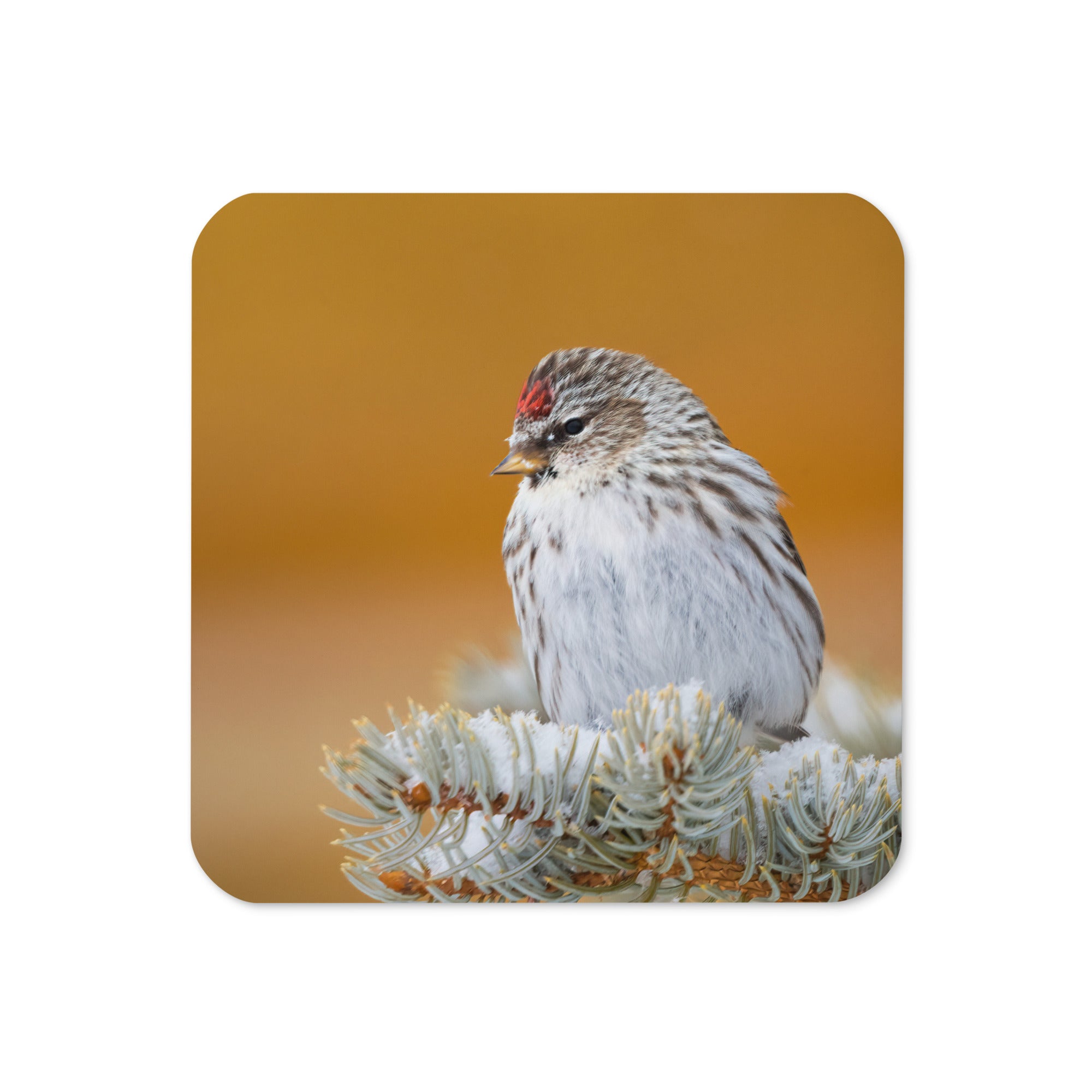 Gift Bird Lover Cork-Back Coaster - The Overland Diaries