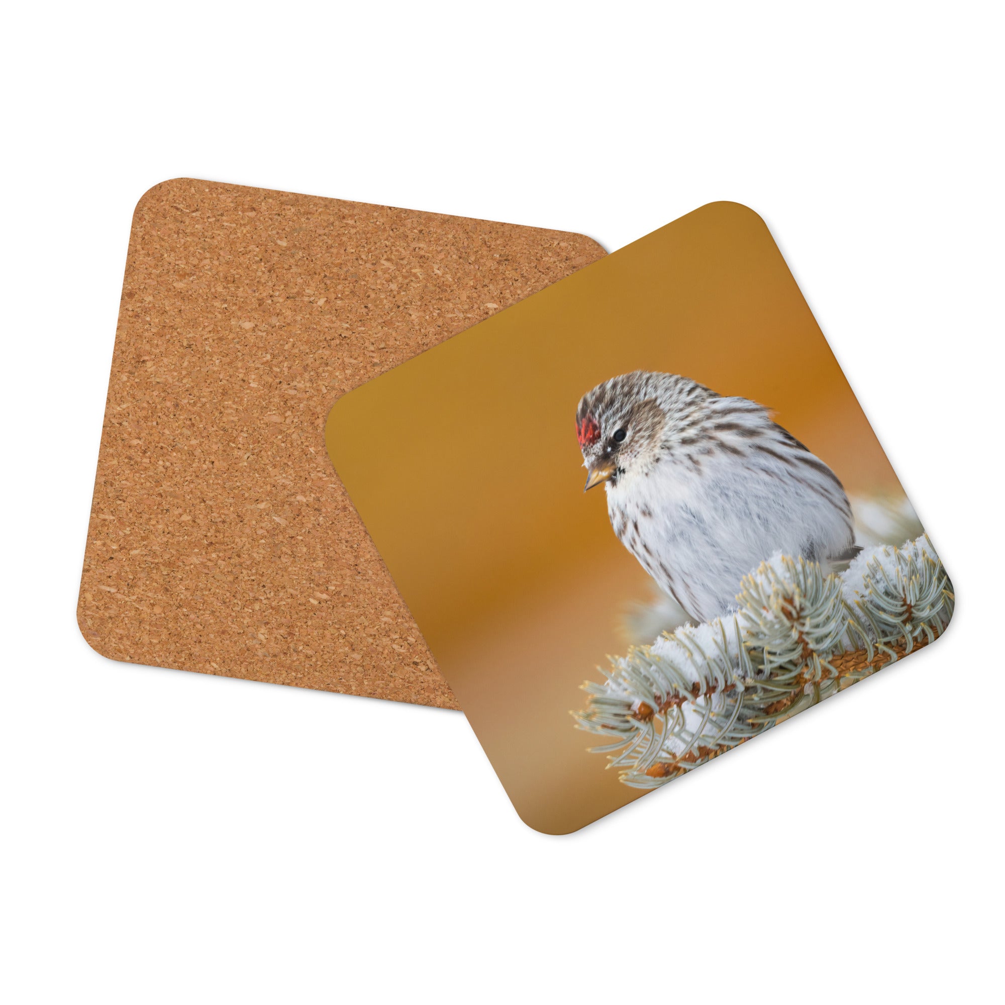 Gift Bird Lover Cork-Back Coaster - The Overland Diaries