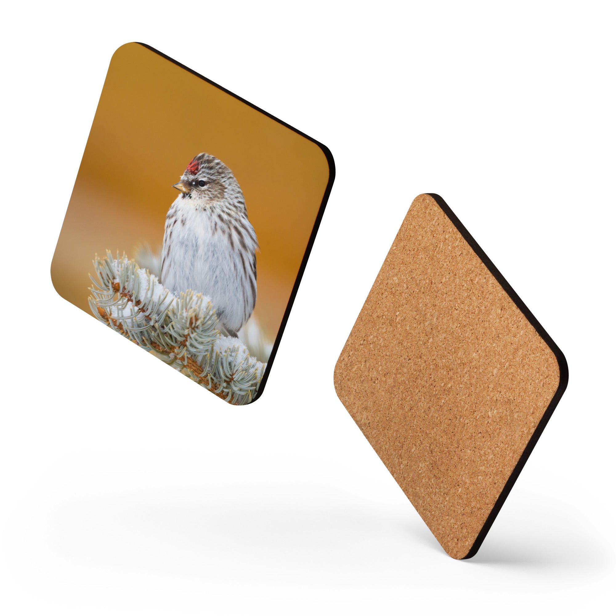Gift Bird Lover Cork-Back Coaster - The Overland Diaries
