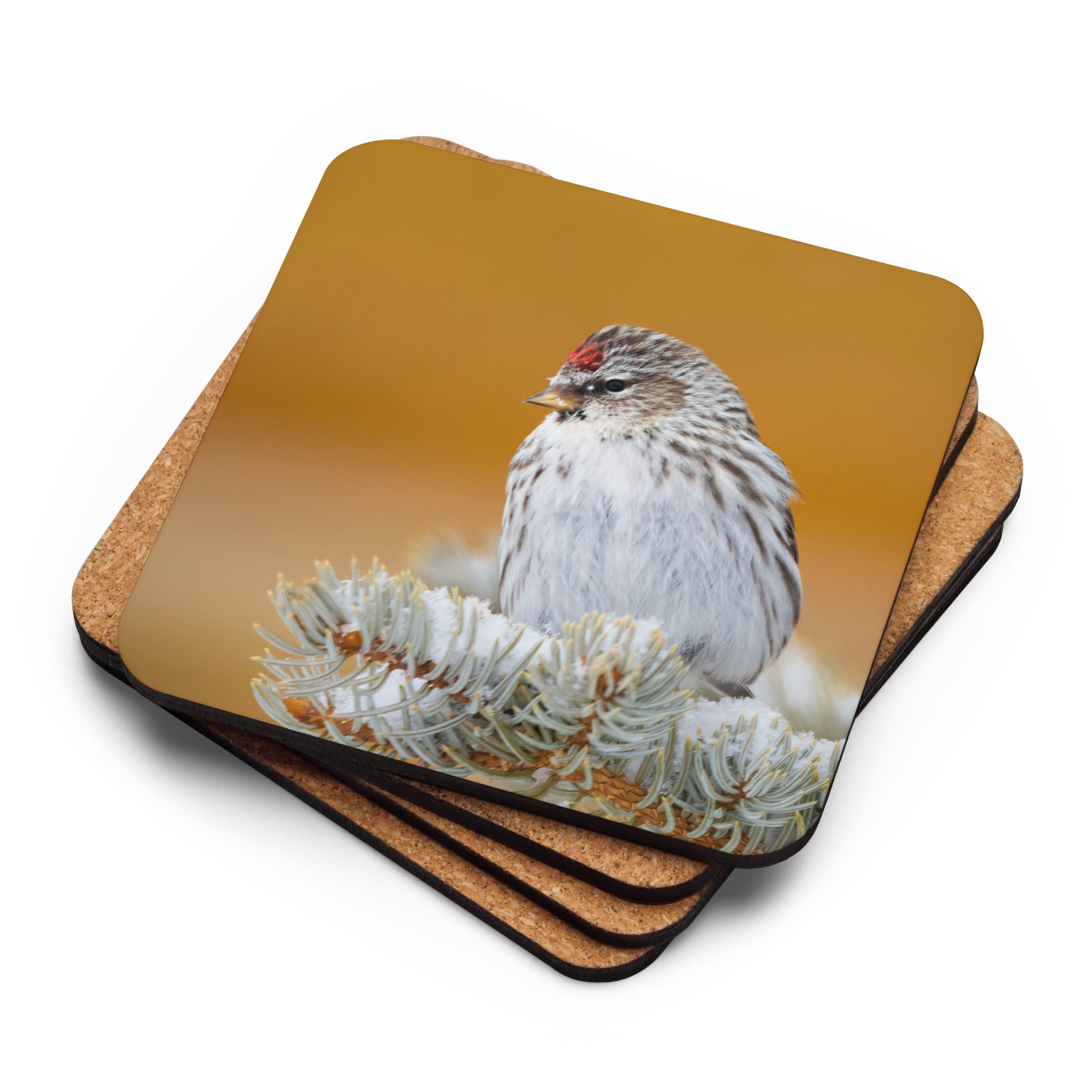 Gift Bird Lover Cork-Back Coaster - The Overland Diaries