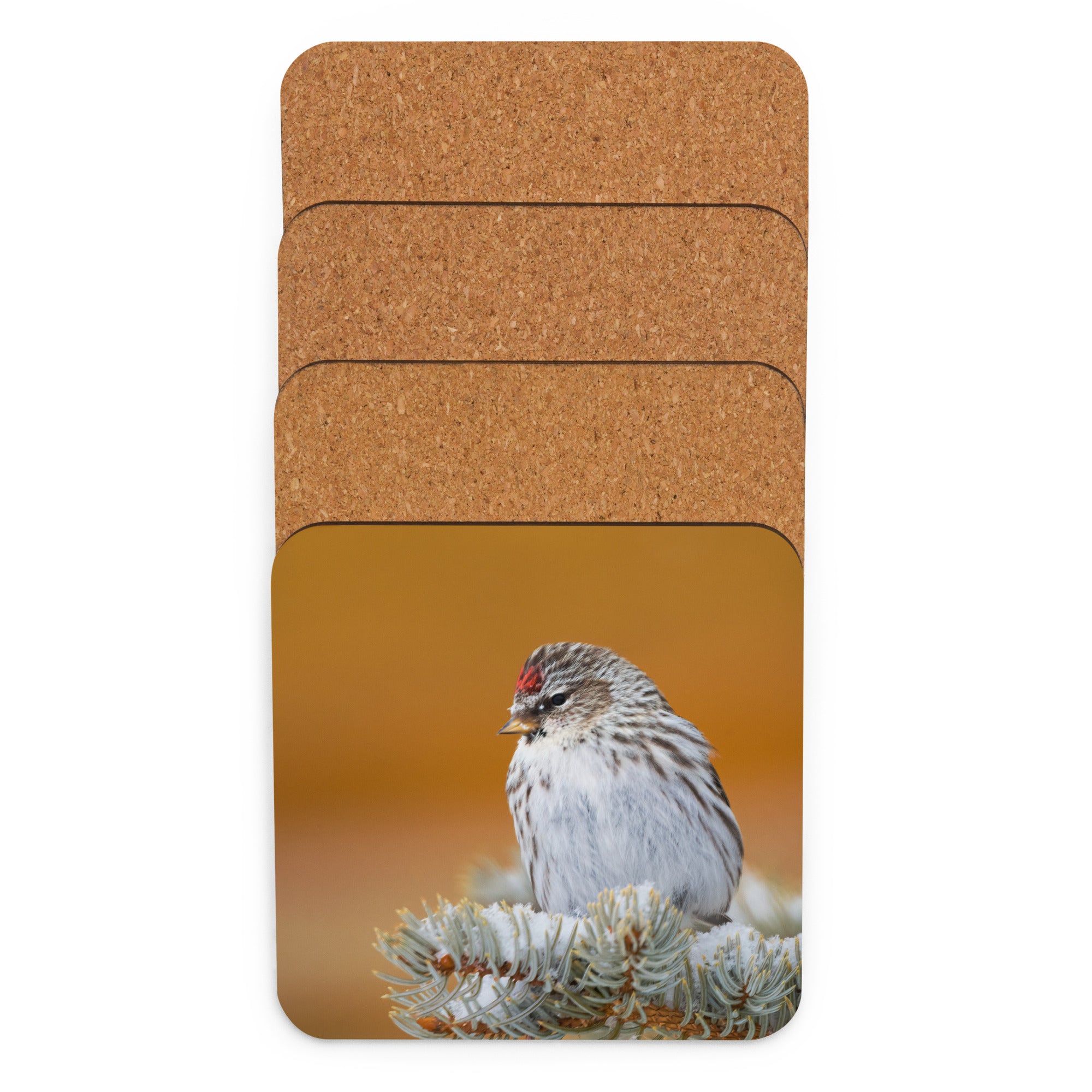 Gift Bird Lover Cork-Back Coaster - The Overland Diaries