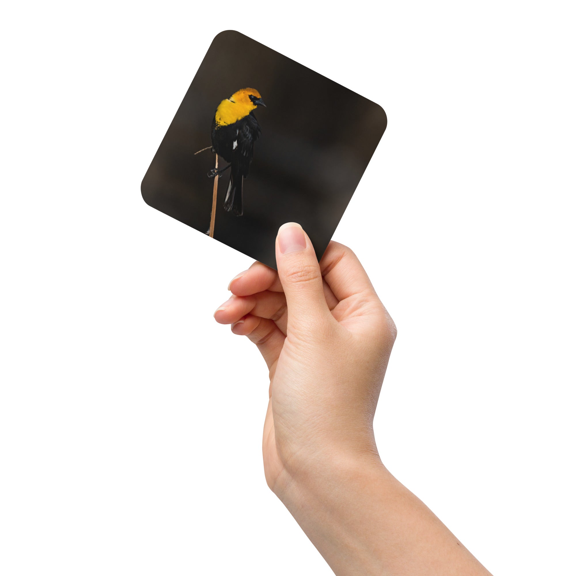 Home Decor Bird Related Cork-Back Coaster - The Overland Diaries