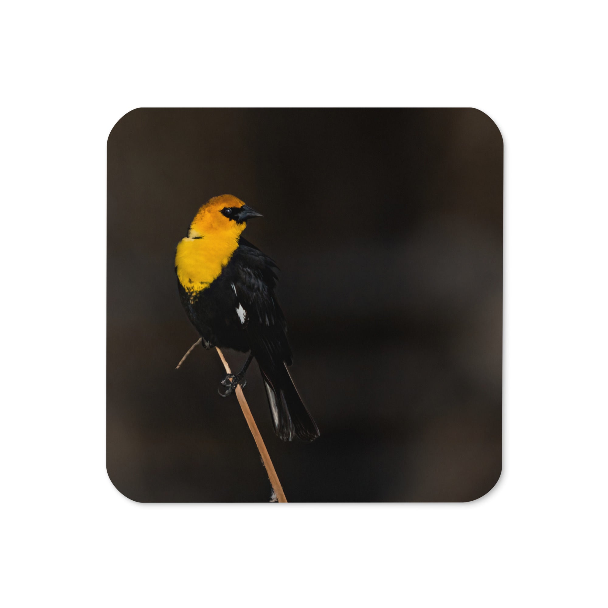 Home Decor Bird Related Cork-Back Coaster - The Overland Diaries