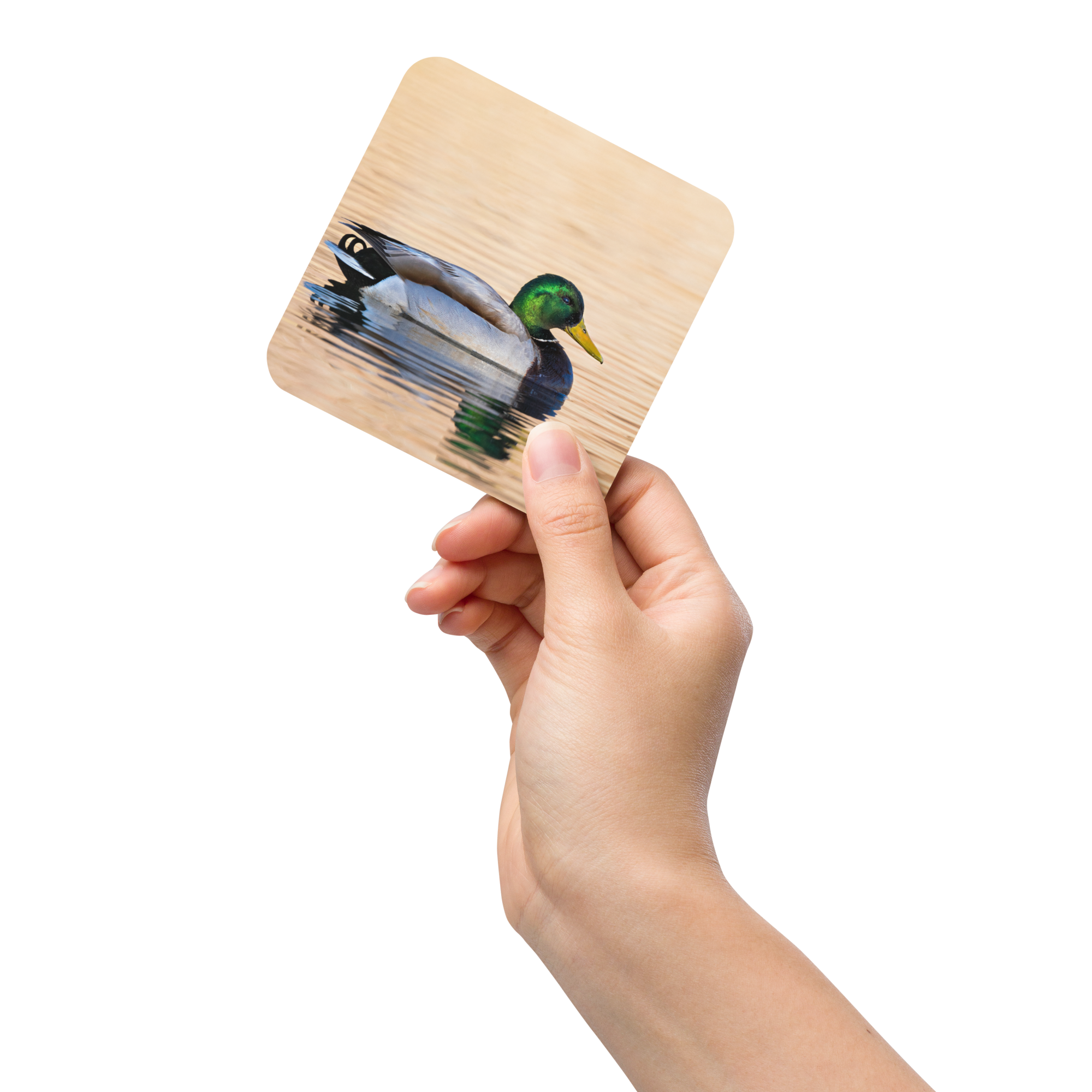 Home Decor Wildlife Cork-Back Coaster - The Overland Diaries