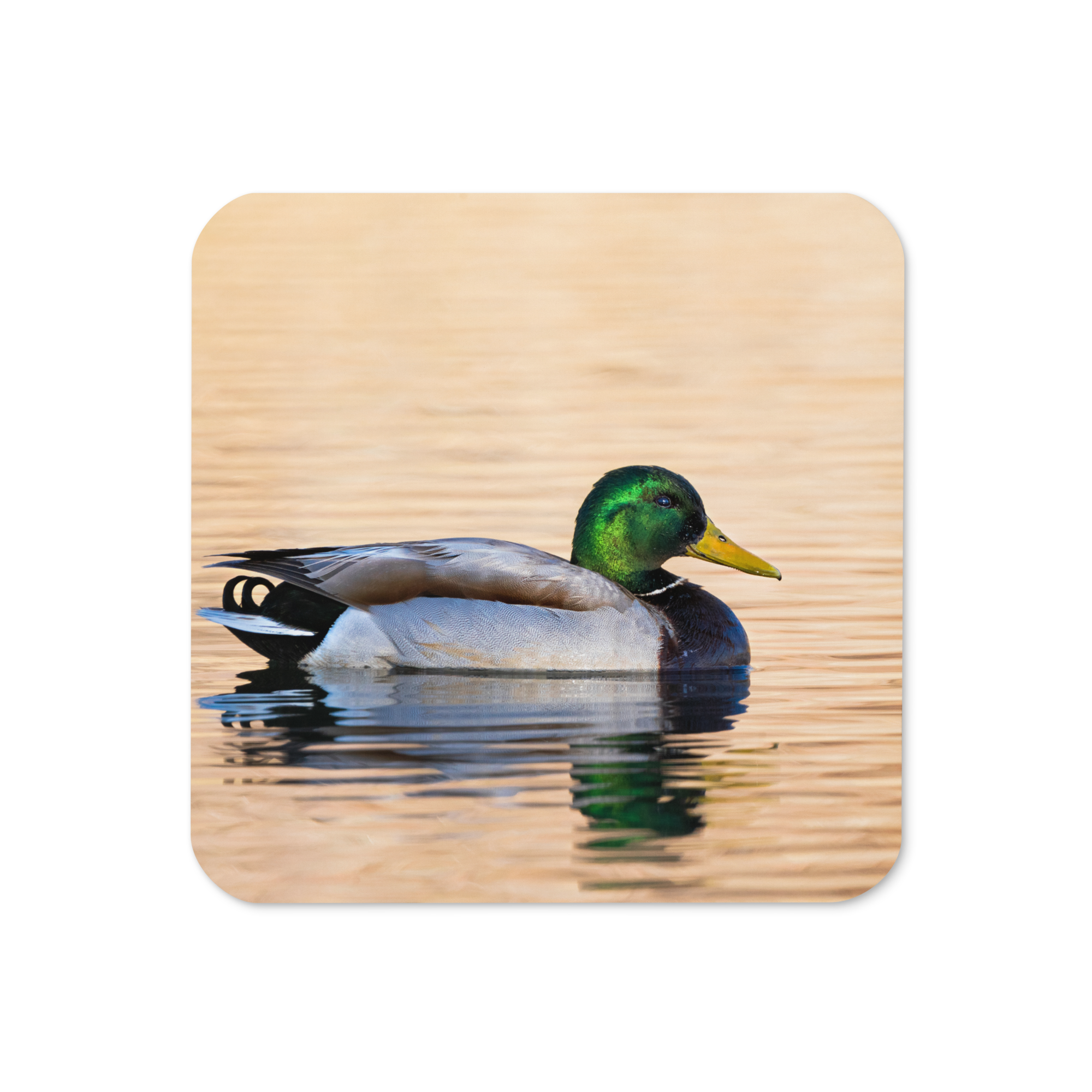 Home Decor Wildlife Cork-Back Coaster - The Overland Diaries