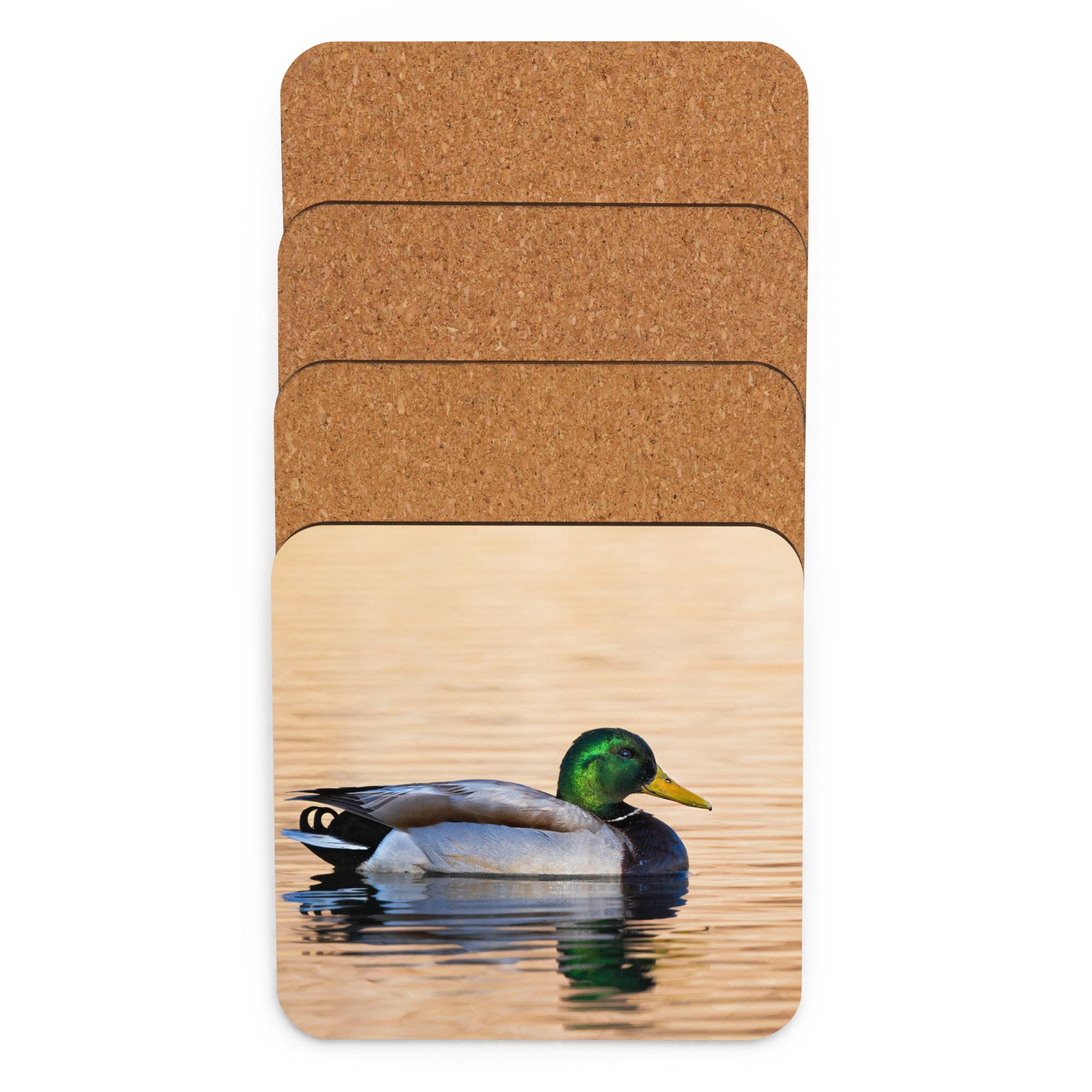 Home Decor Wildlife Cork-Back Coaster - The Overland Diaries