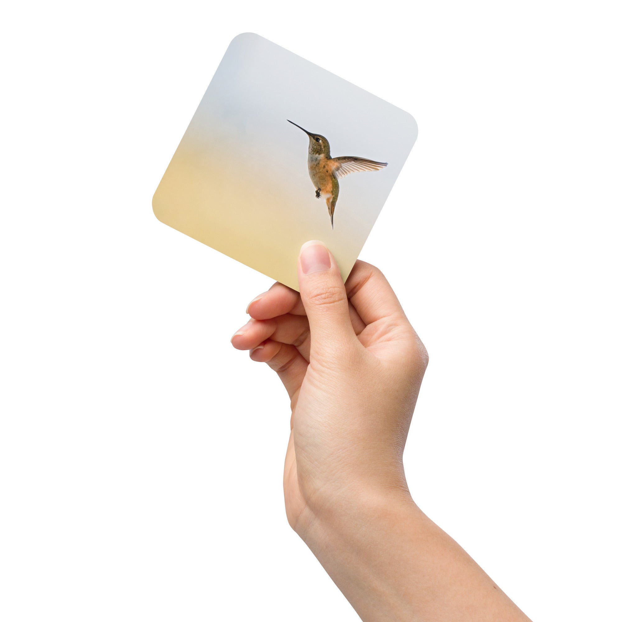 Hummingbird Cork-Back Coaster - The Overland Diaries