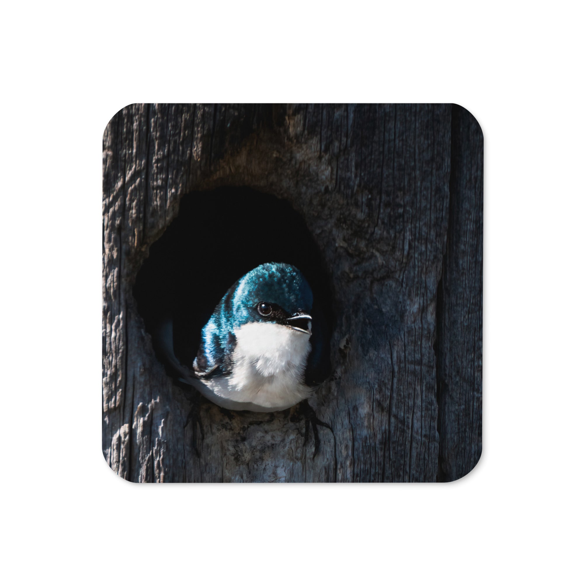 Tree Swallow Cork-Back Coaster - The Overland Diaries