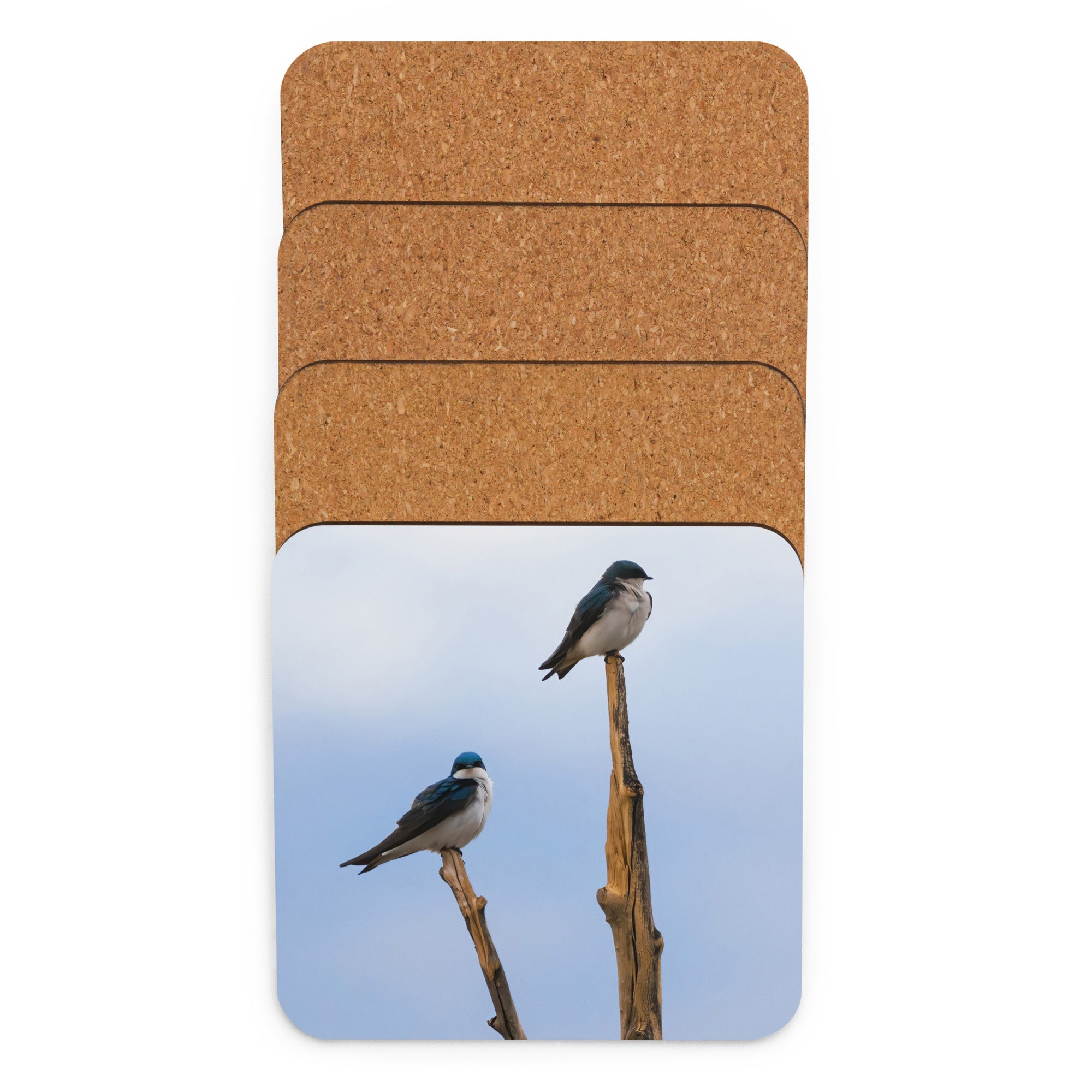 Tree Swallow Photo Cork-Back Coaster - The Overland Diaries