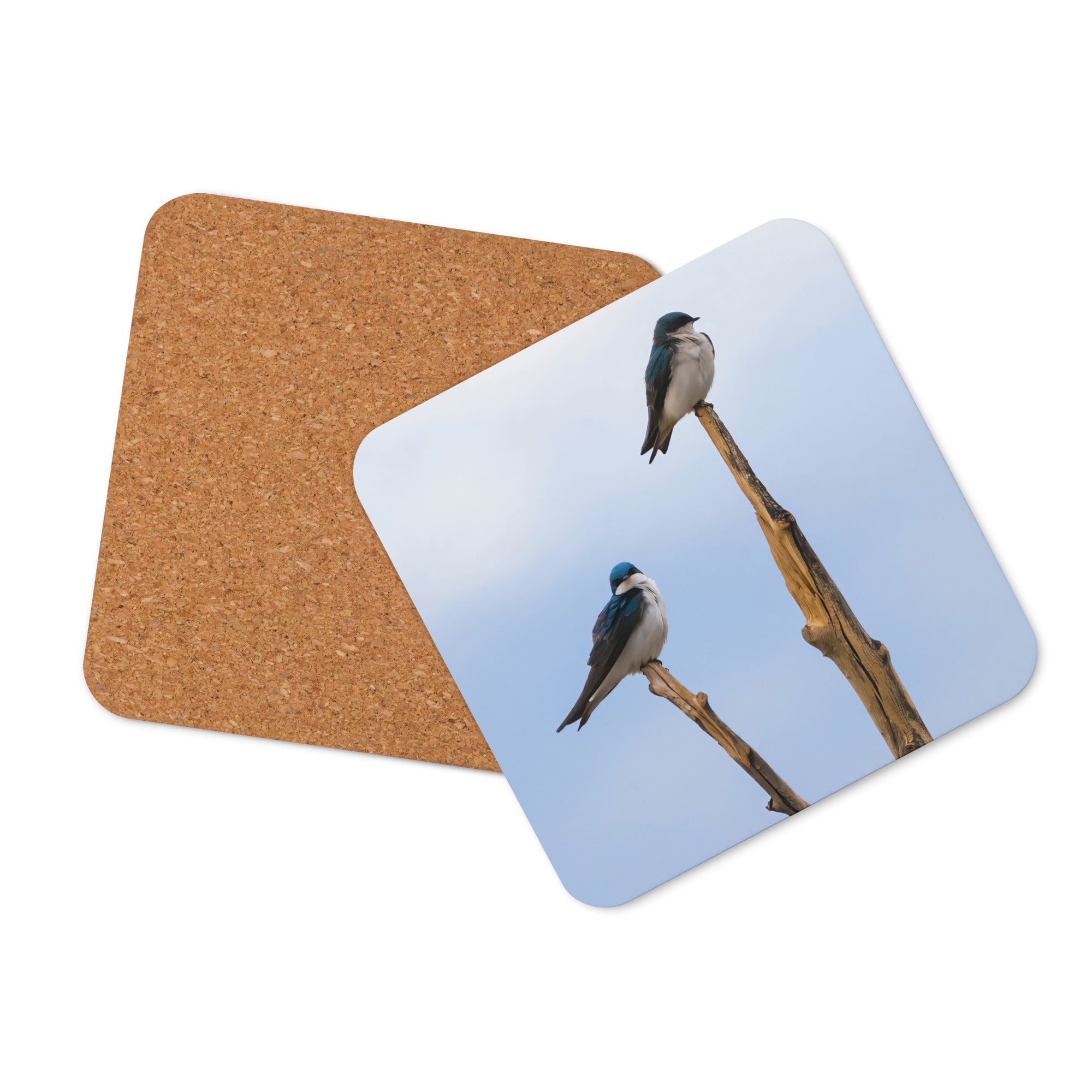 Tree Swallow Photo Cork-Back Coaster - The Overland Diaries
