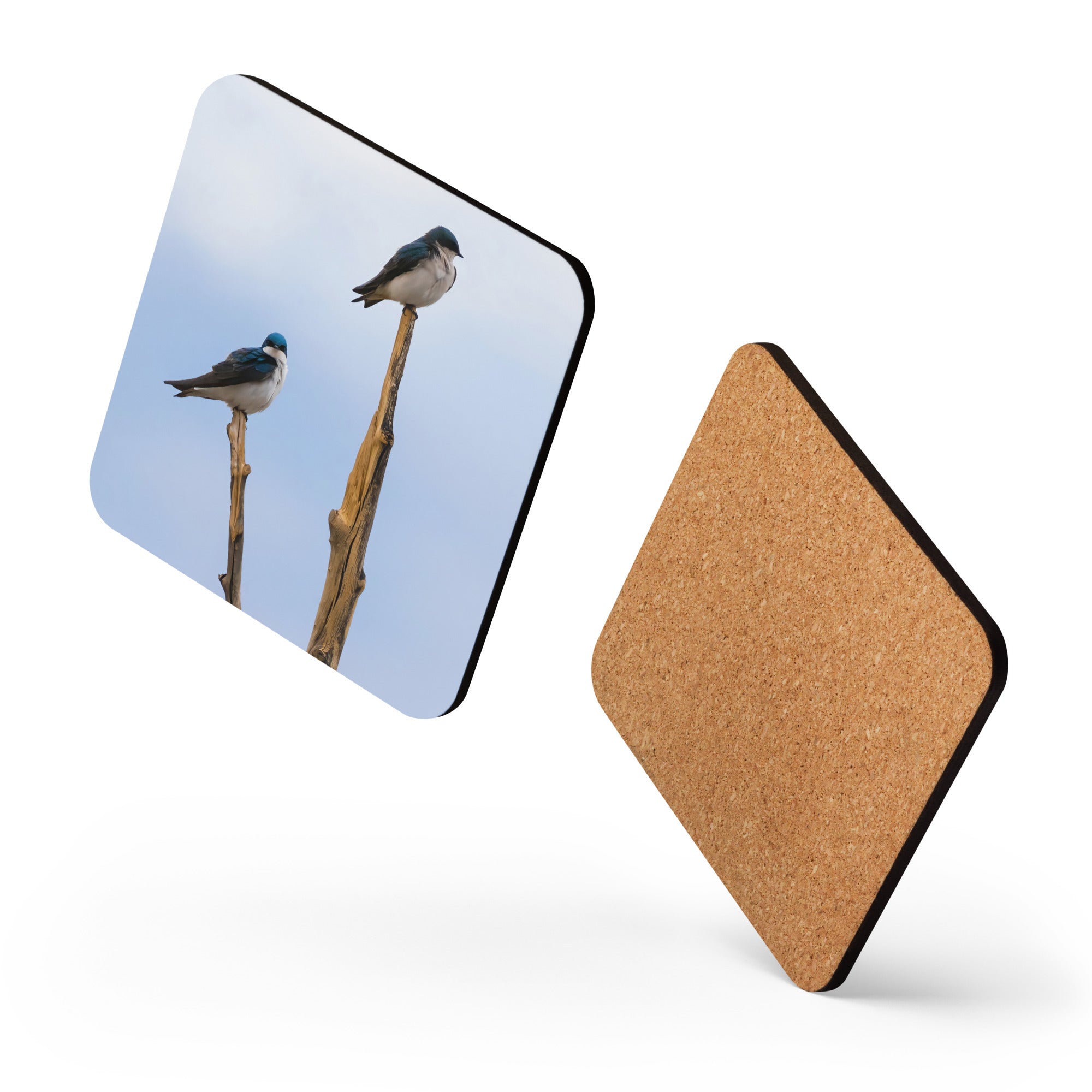 Tree Swallow Photo Cork-Back Coaster - The Overland Diaries