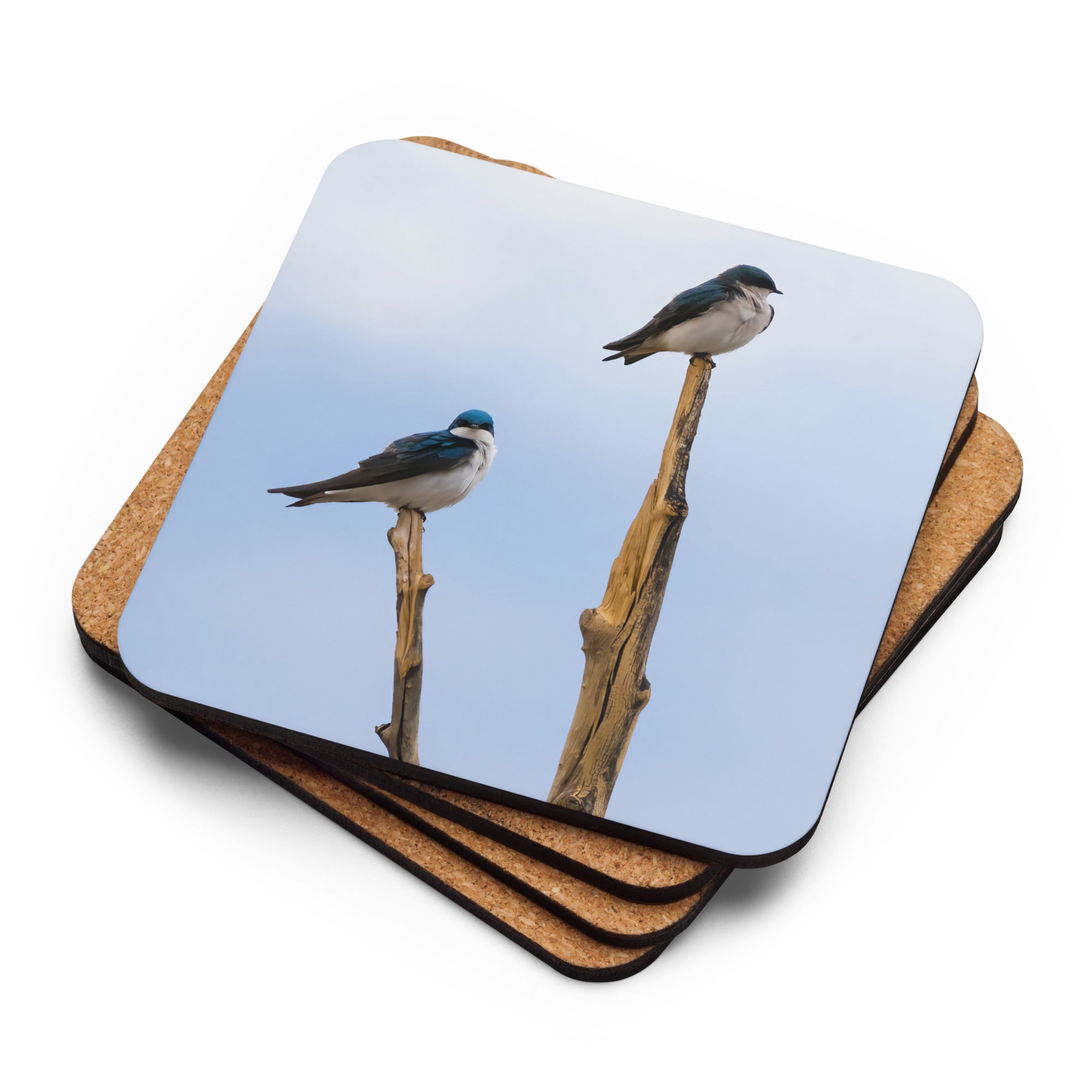 Tree Swallow Photo Cork-Back Coaster - The Overland Diaries