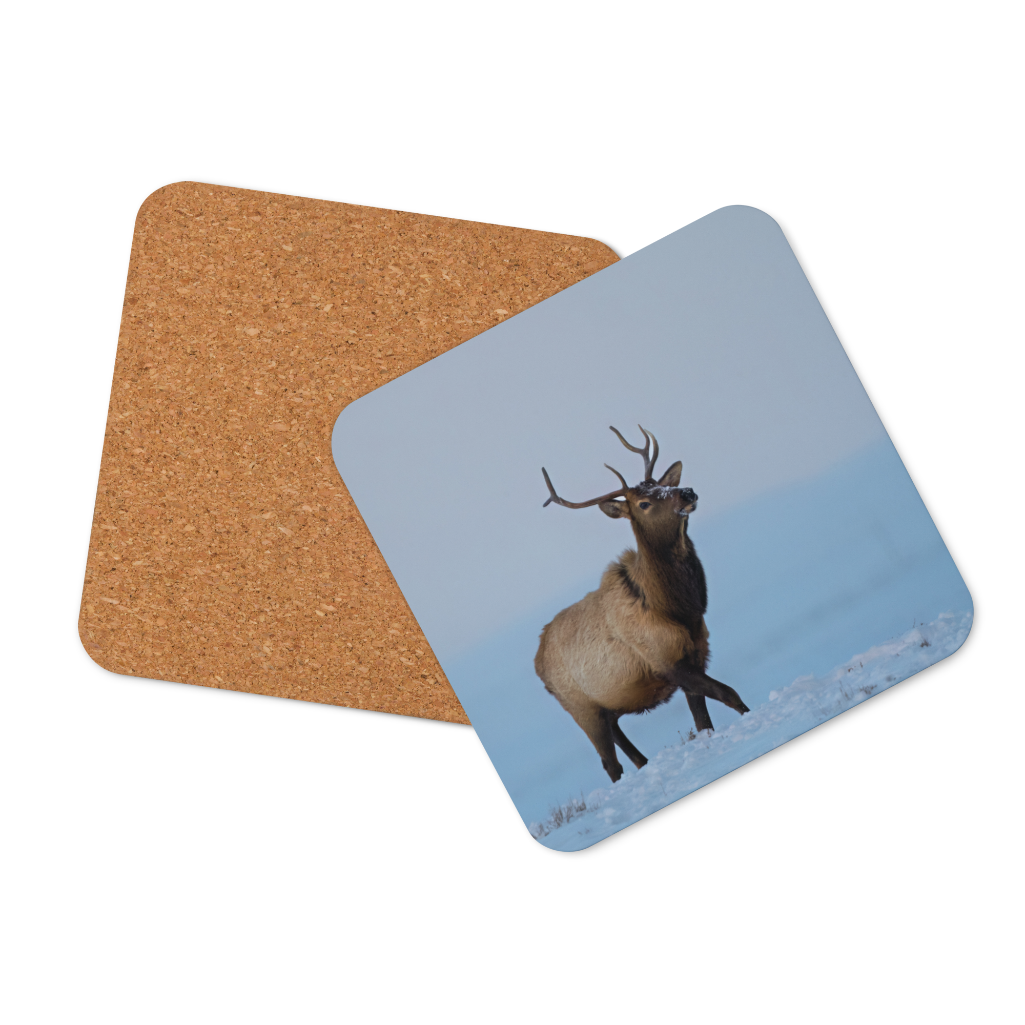 Elk Cork-back coaster - The Overland Diaries