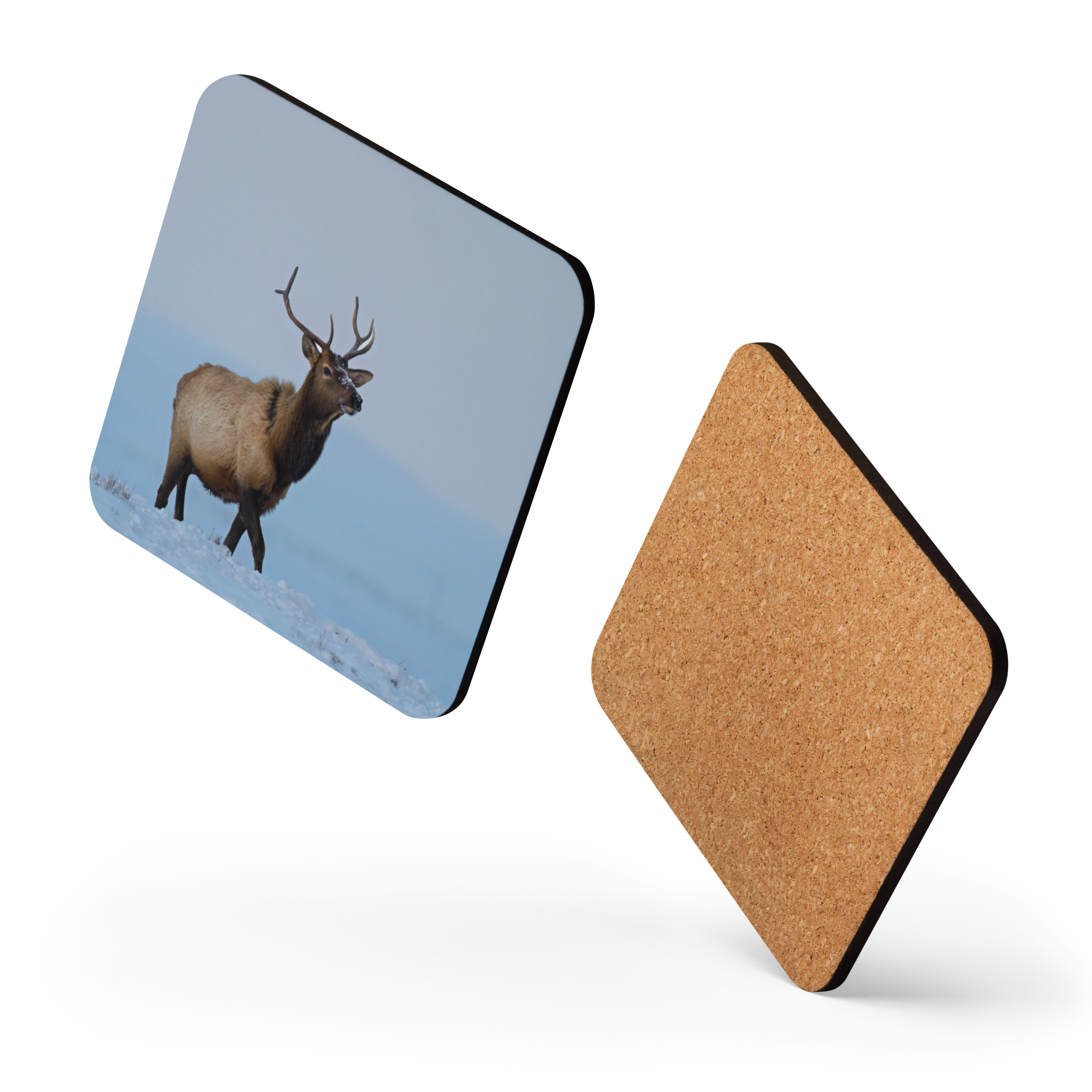 Elk Cork-back coaster - The Overland Diaries