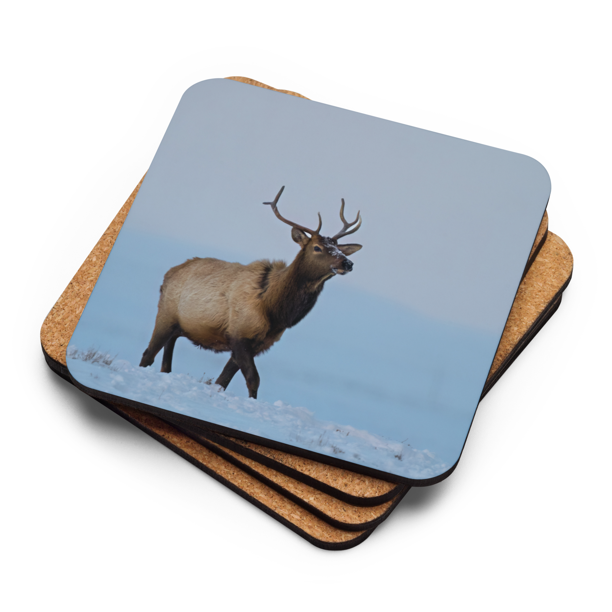 Elk Cork-back coaster - The Overland Diaries