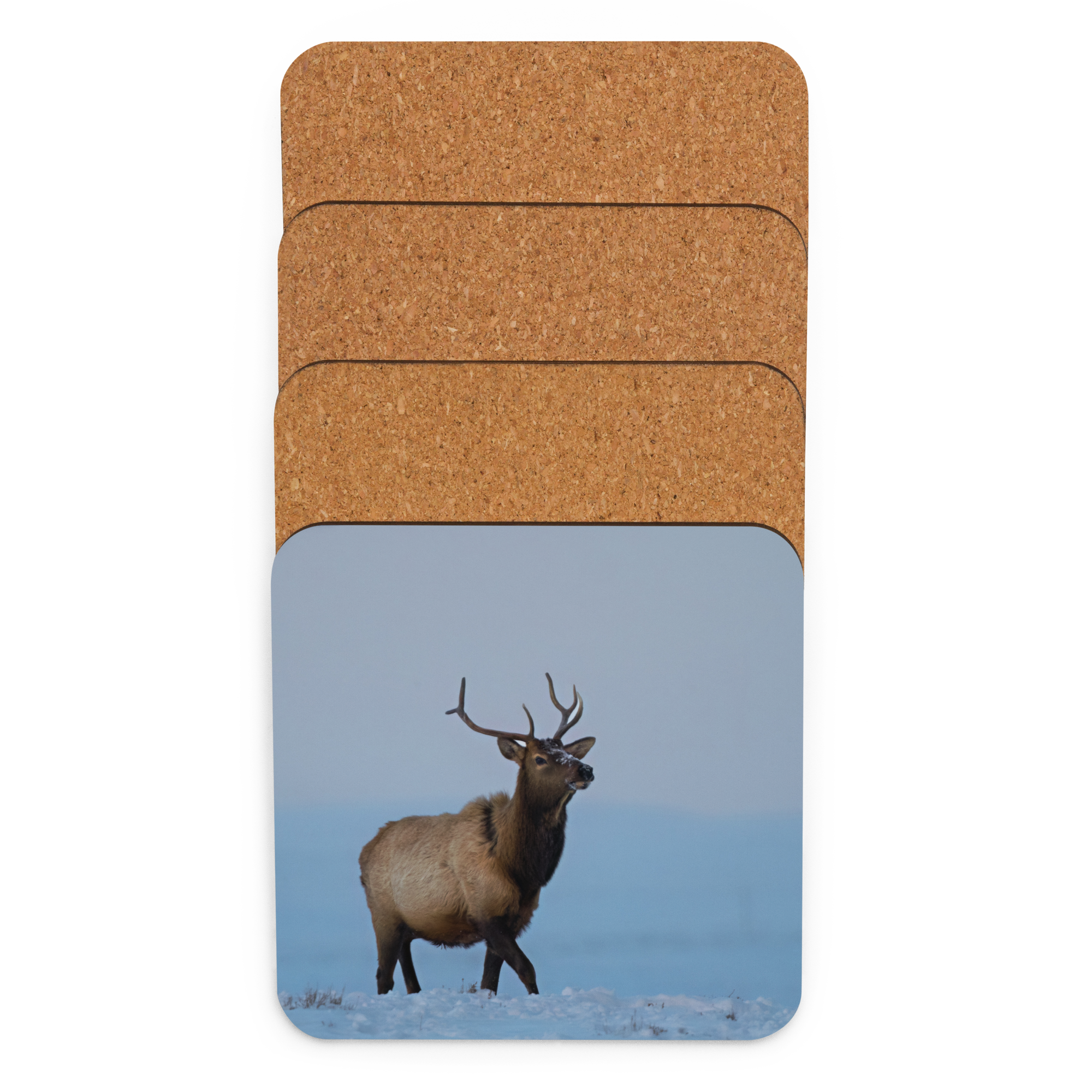 Elk Cork-back coaster - The Overland Diaries