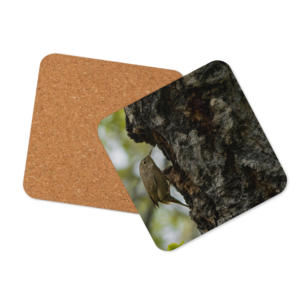 House Wren Cork-back coaster - The Overland Diaries
