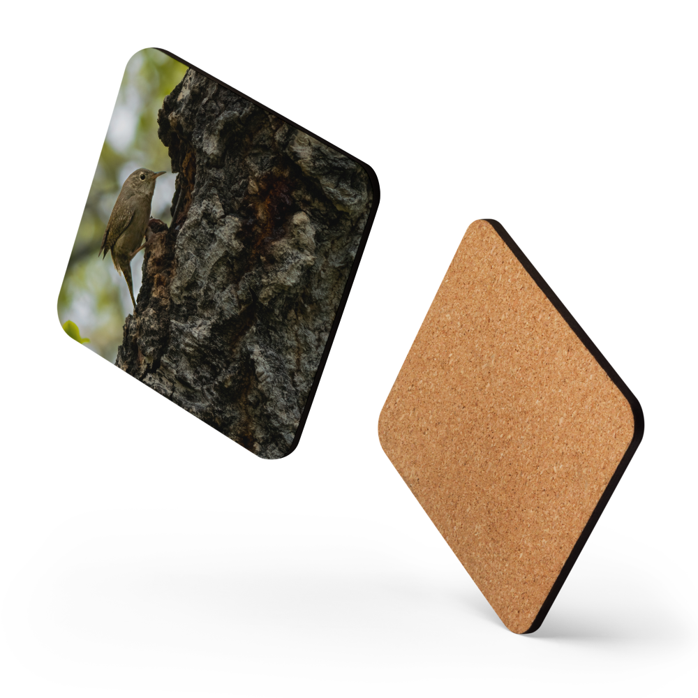 House Wren Cork-back coaster - The Overland Diaries