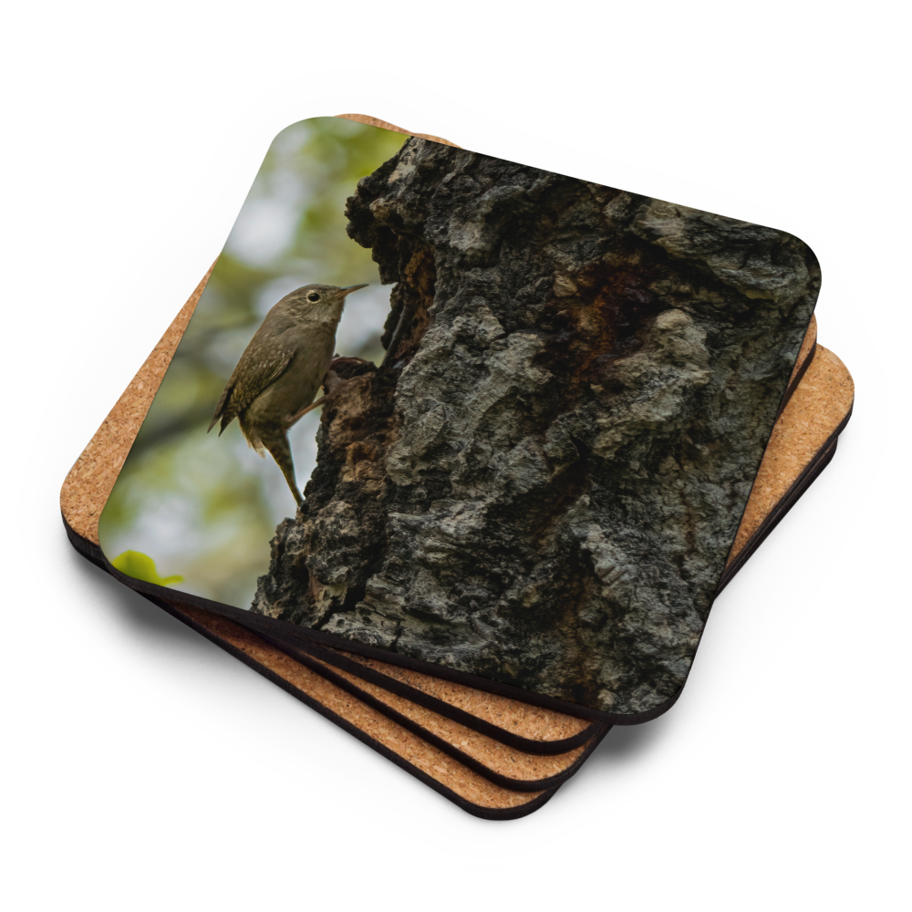 House Wren Cork-back coaster - The Overland Diaries