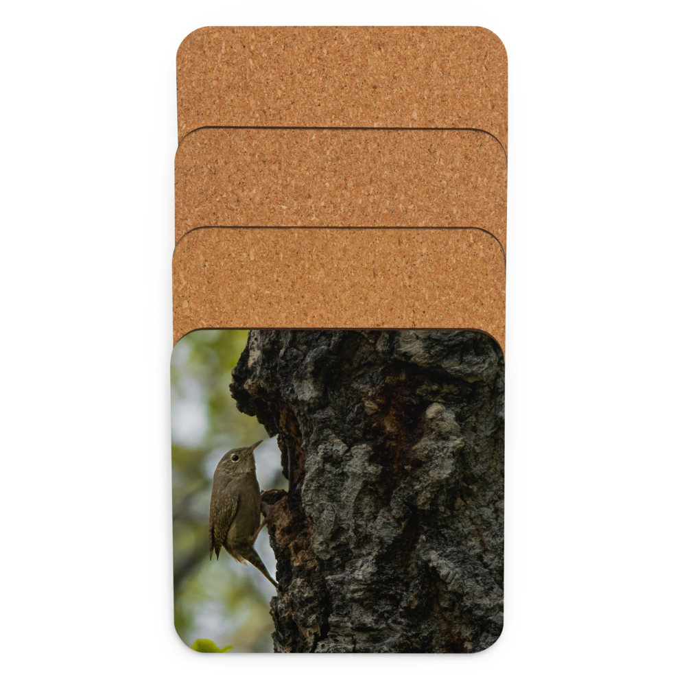 House Wren Cork-back coaster - The Overland Diaries