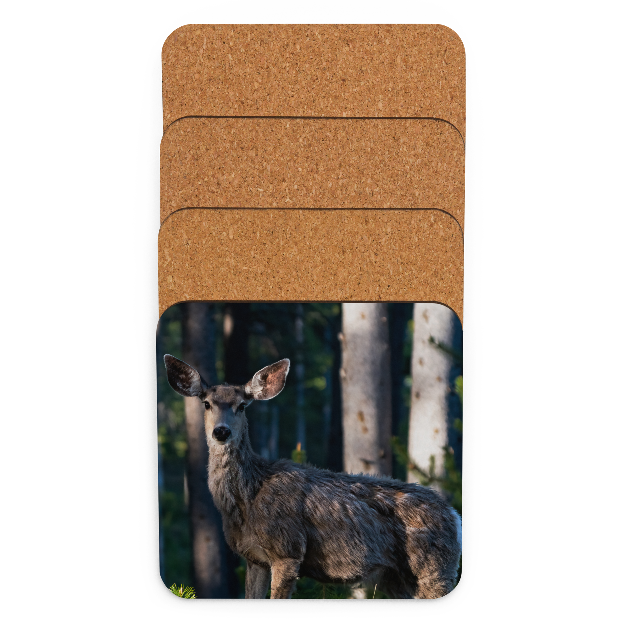 Mule Deer Cork-back coaster - The Overland Diaries