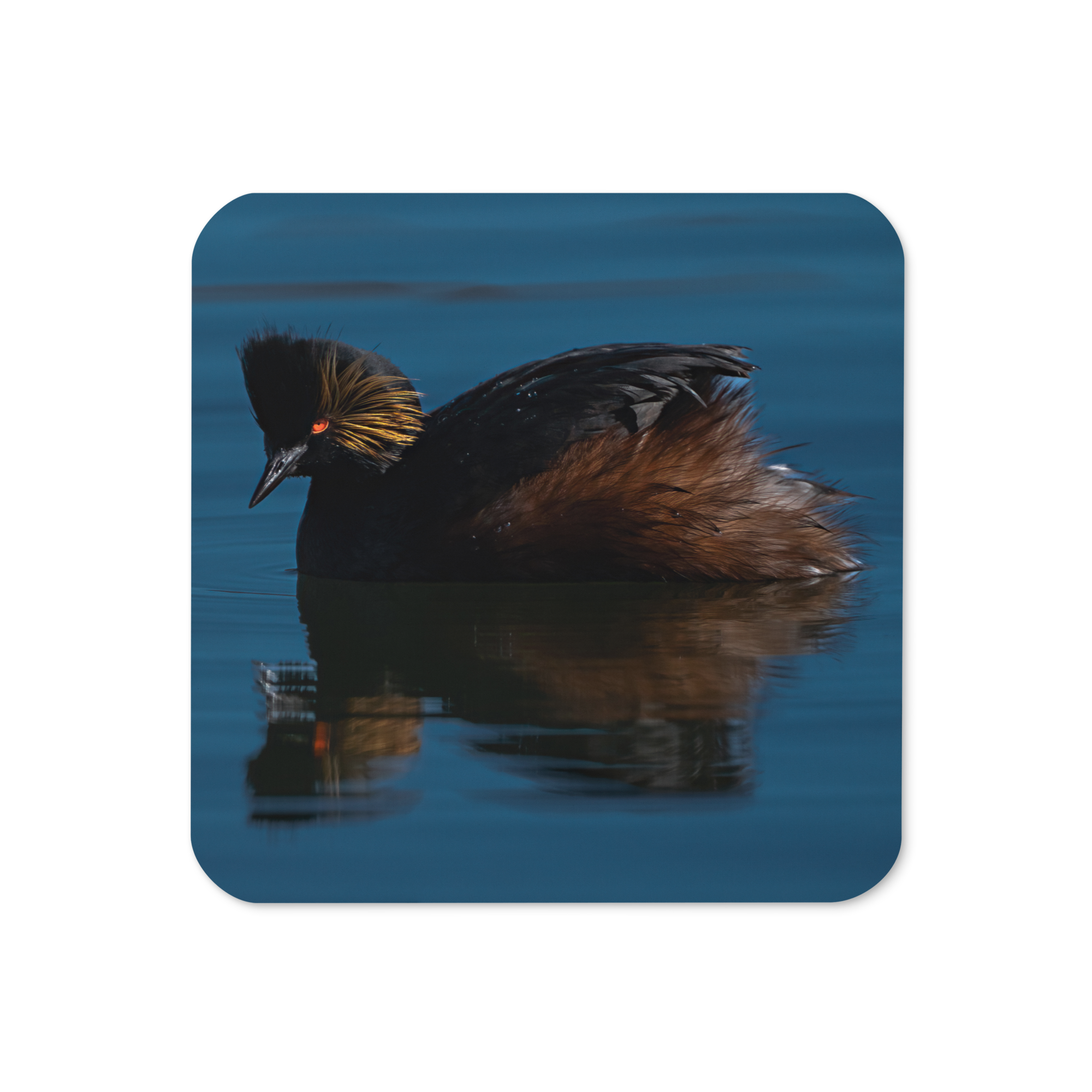 Eared GrebeCork-back Coaster - The Overland Diaries
