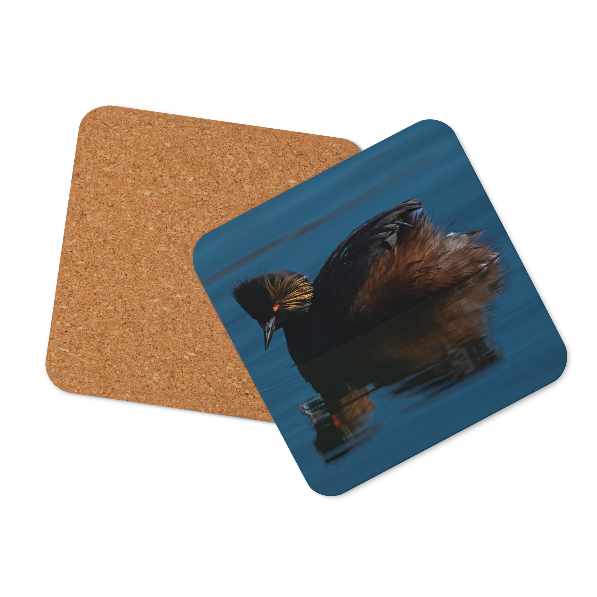 Eared GrebeCork-back Coaster - The Overland Diaries