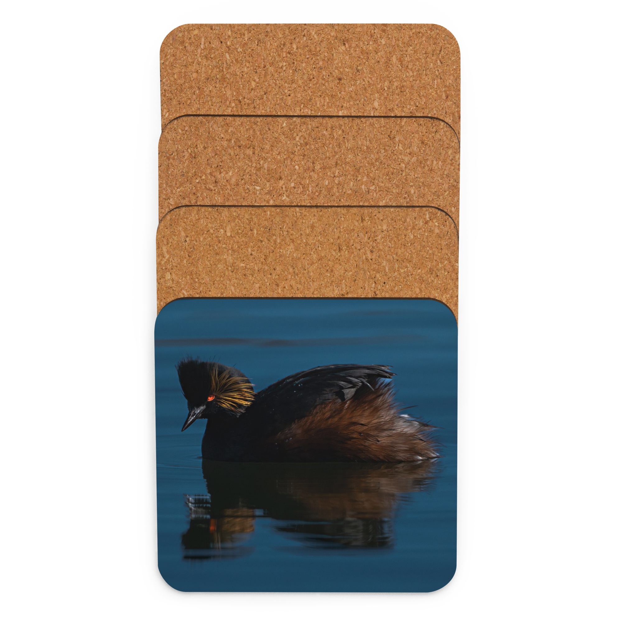 Eared GrebeCork-back Coaster - The Overland Diaries