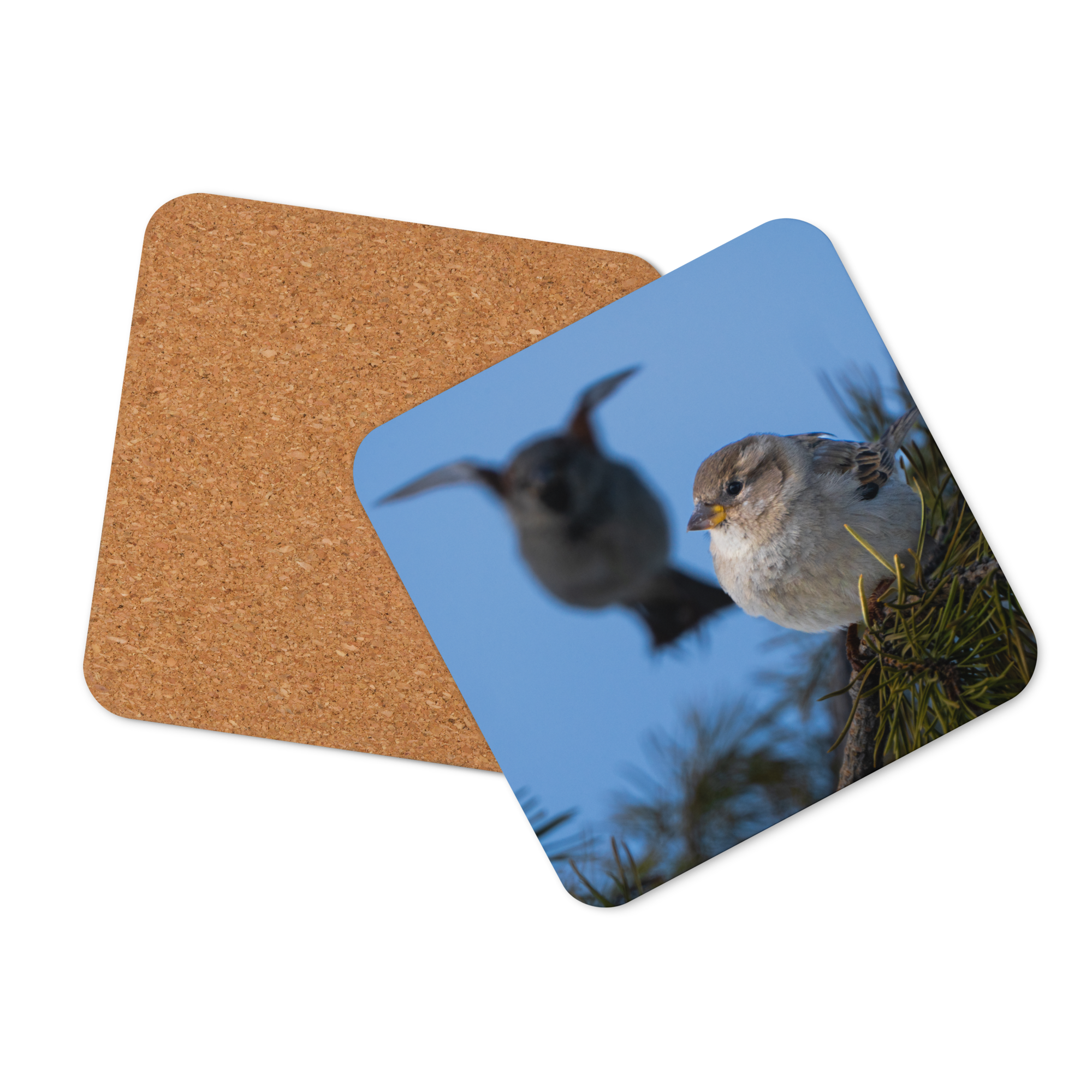 House Sparrow Cork-back Coaster - The Overland Diaries