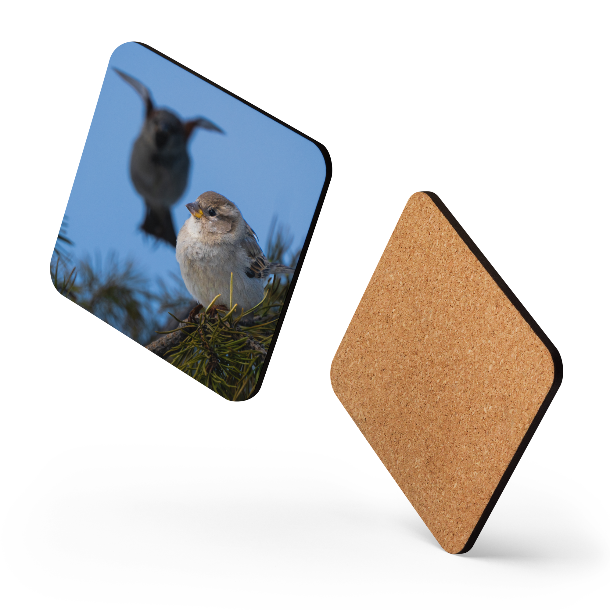 House Sparrow Cork-back Coaster - The Overland Diaries