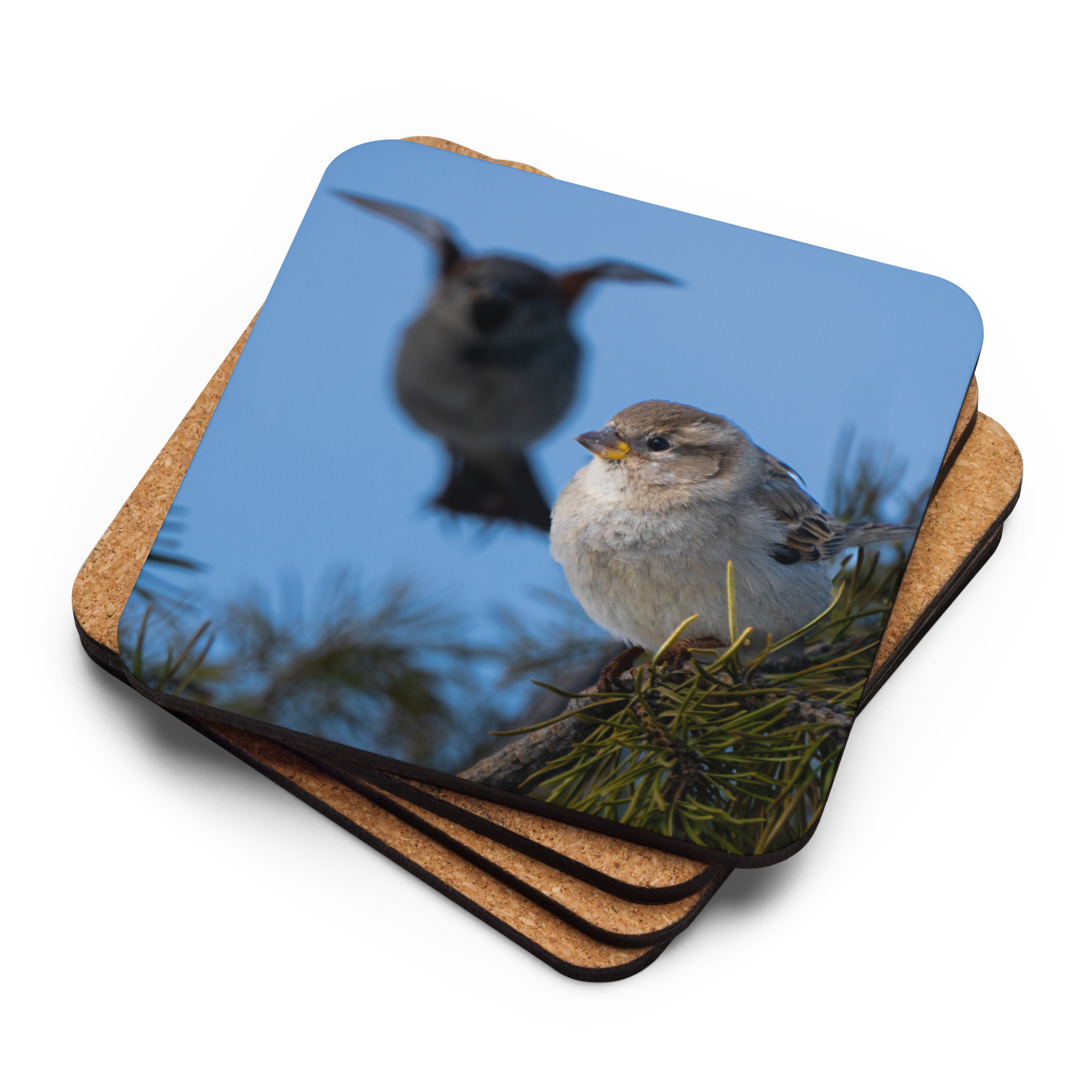 House Sparrow Cork-back Coaster - The Overland Diaries