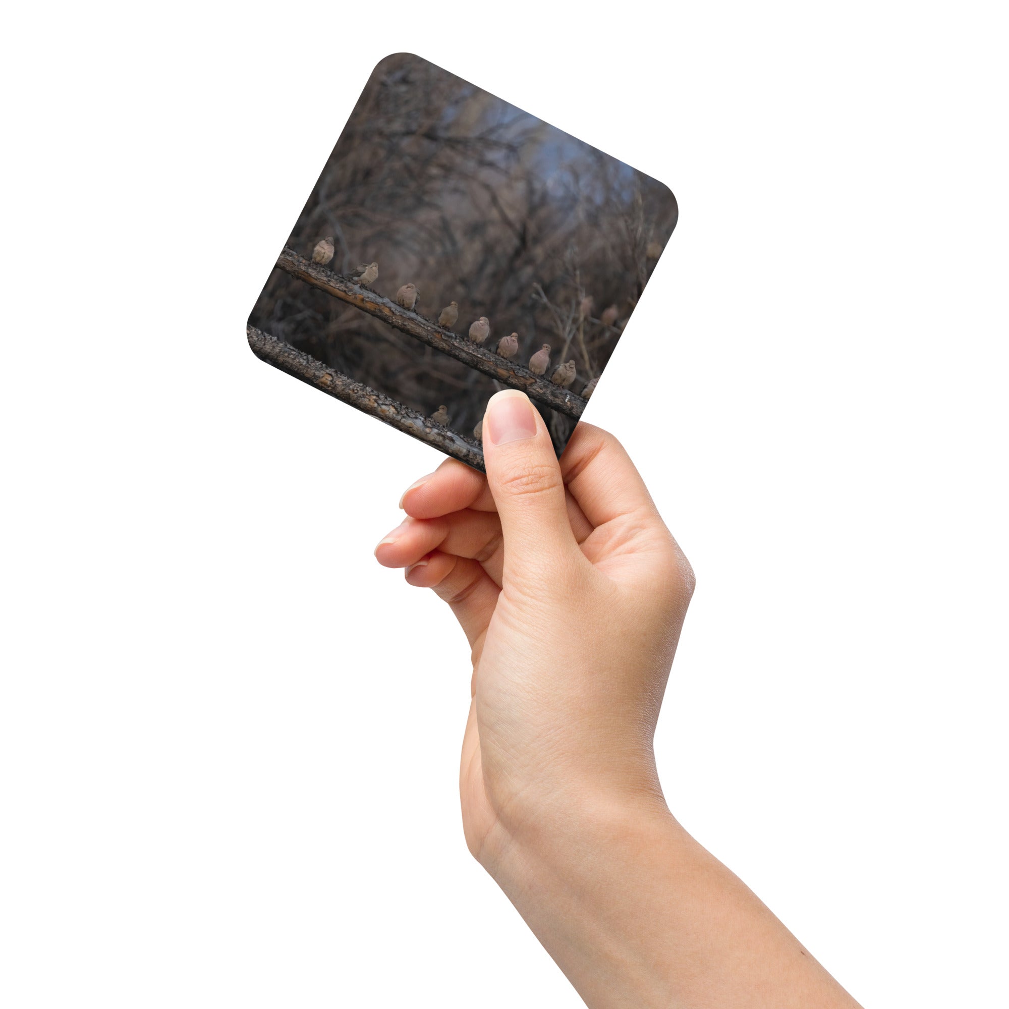 Mourning Doves Cork-back Coaster - The Overland Diaries