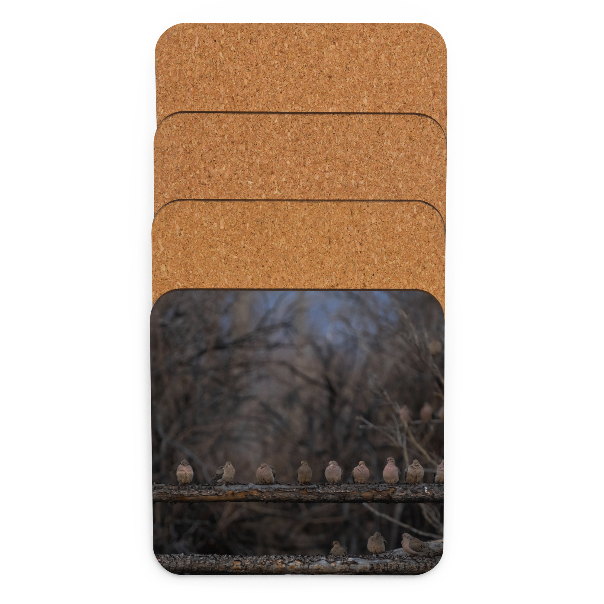 Mourning Doves Cork-back Coaster - The Overland Diaries