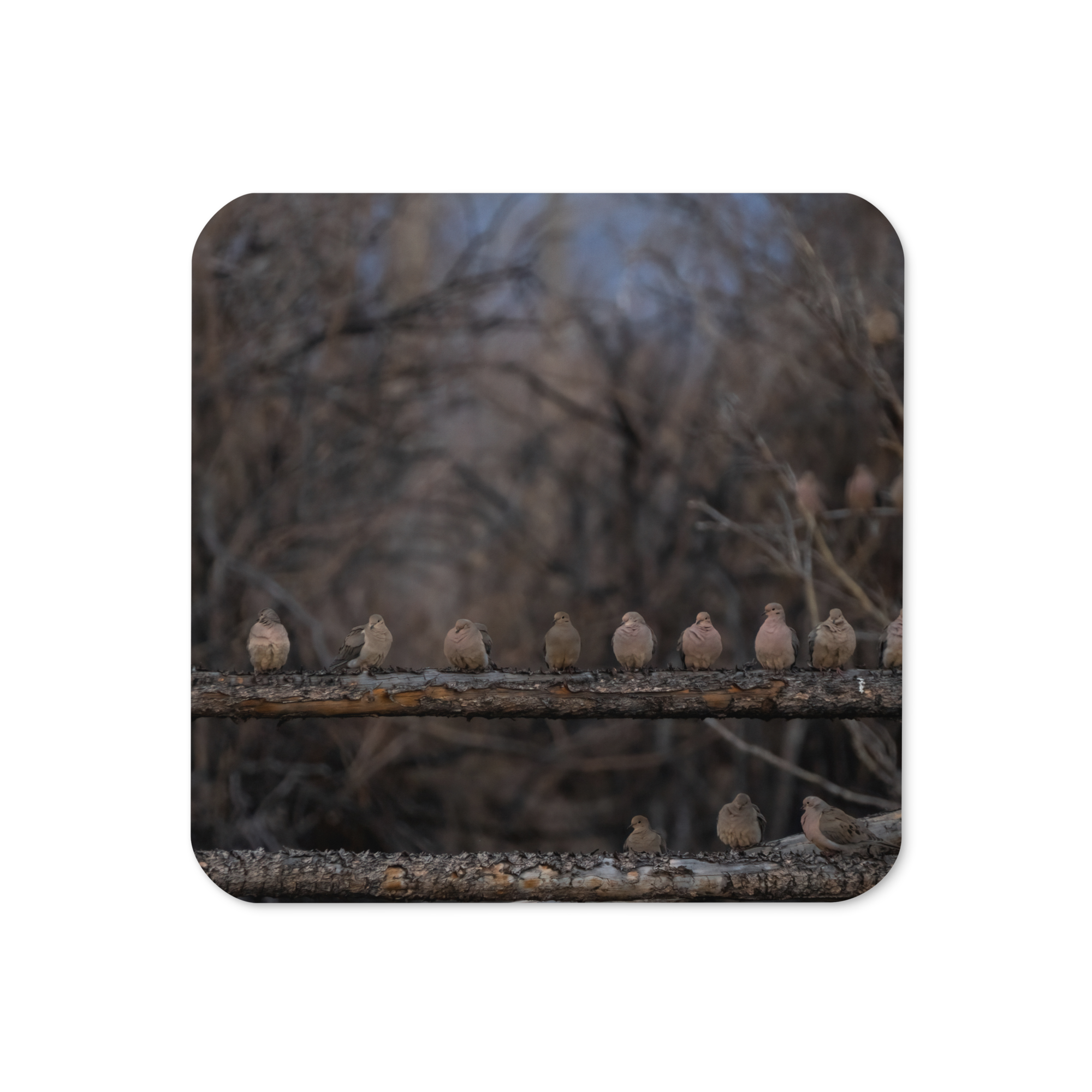 Mourning Doves Cork-back Coaster - The Overland Diaries