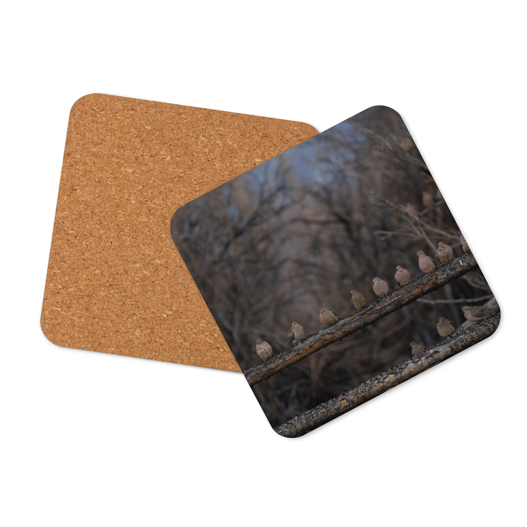 Mourning Doves Cork-back Coaster - The Overland Diaries