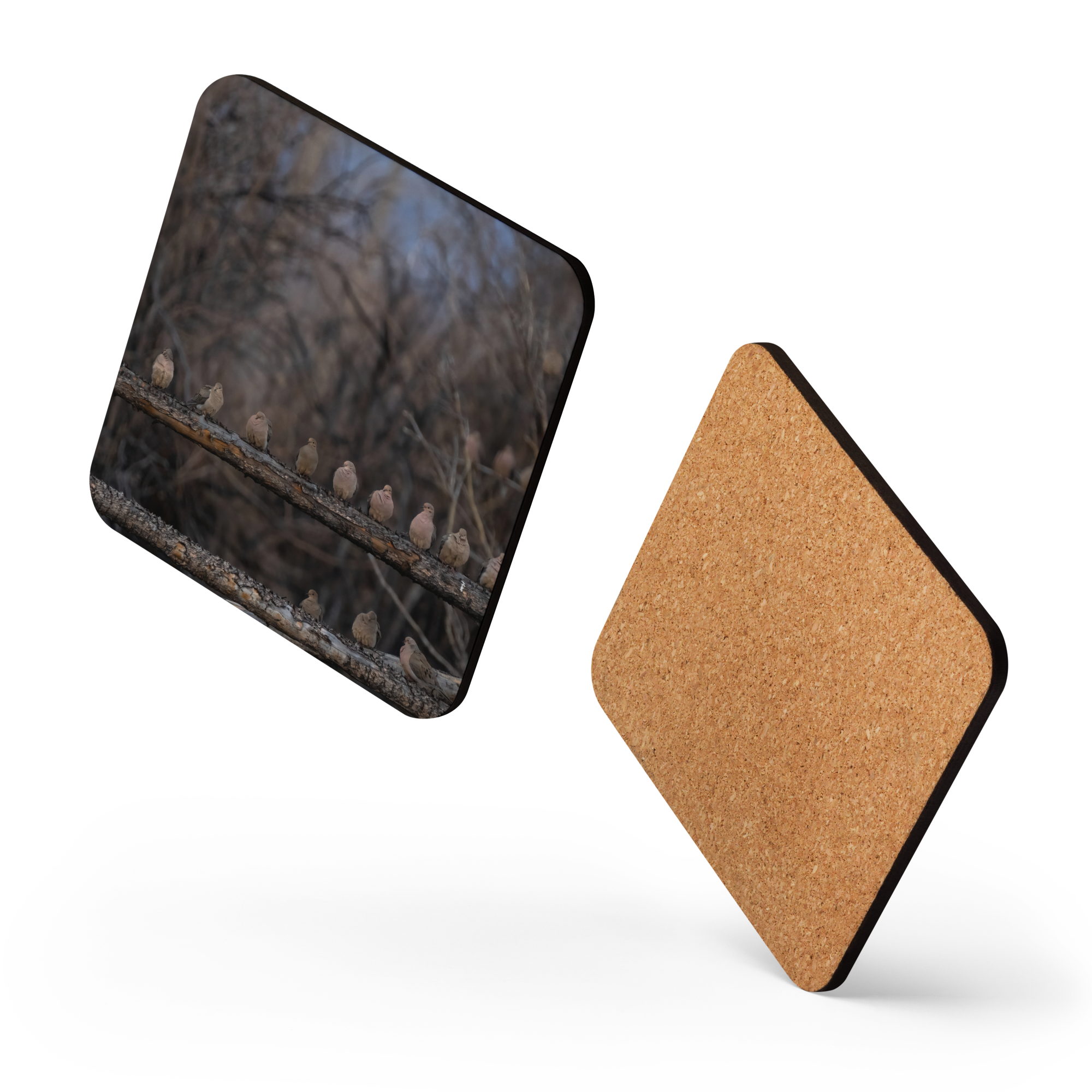 Mourning Doves Cork-back Coaster - The Overland Diaries