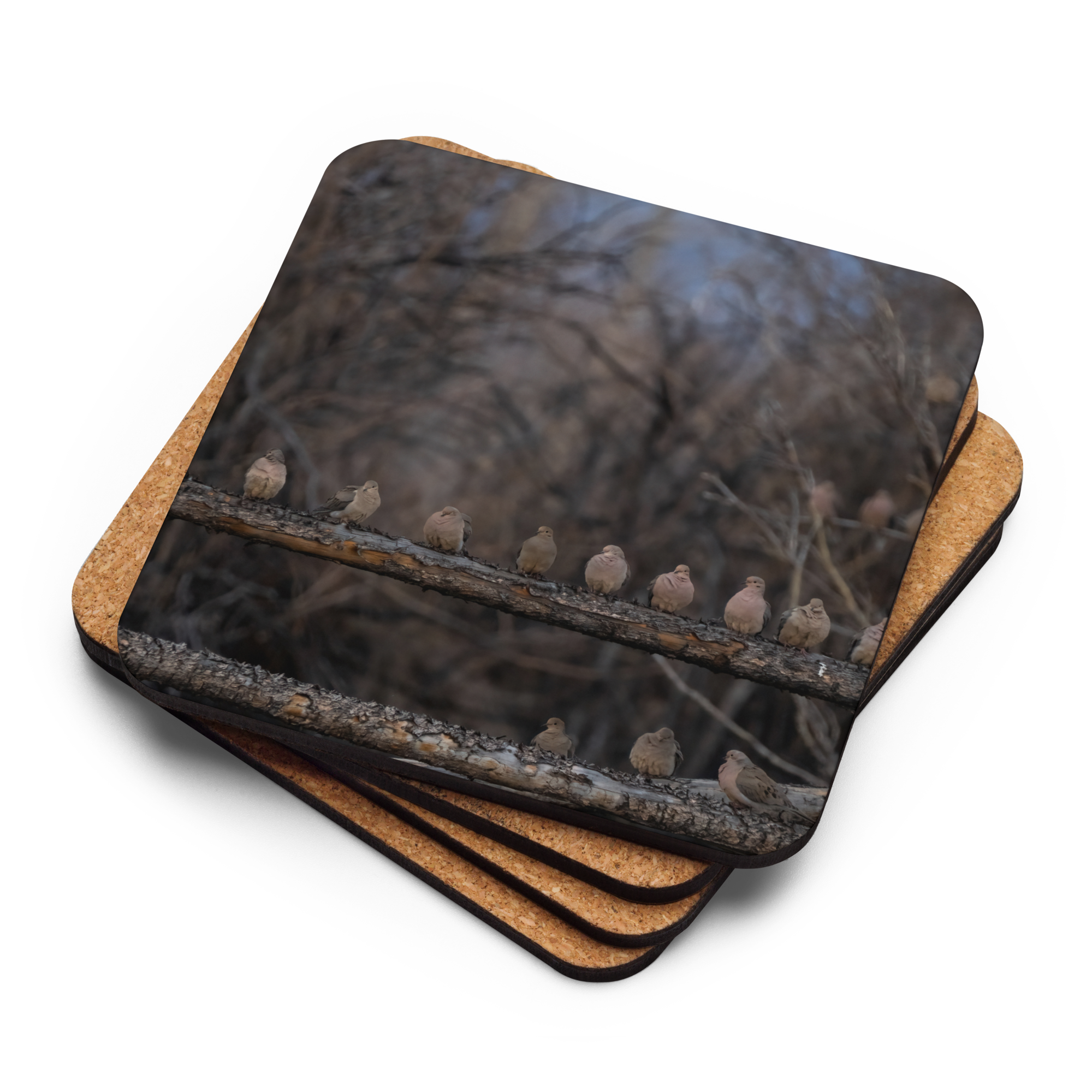 Mourning Doves Cork-back Coaster - The Overland Diaries